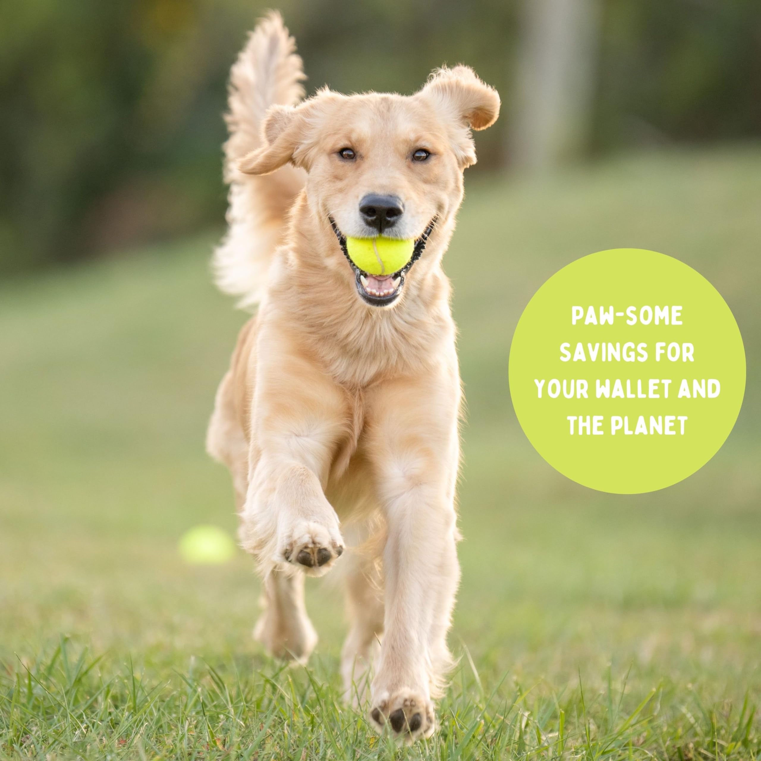 25-100 Bulk Used Tennis Balls For Dogs, Support Usa Tennis Ball Recycling Nonprofit: Bulk Tennis Balls For Dogs, Tennis Balls Fo