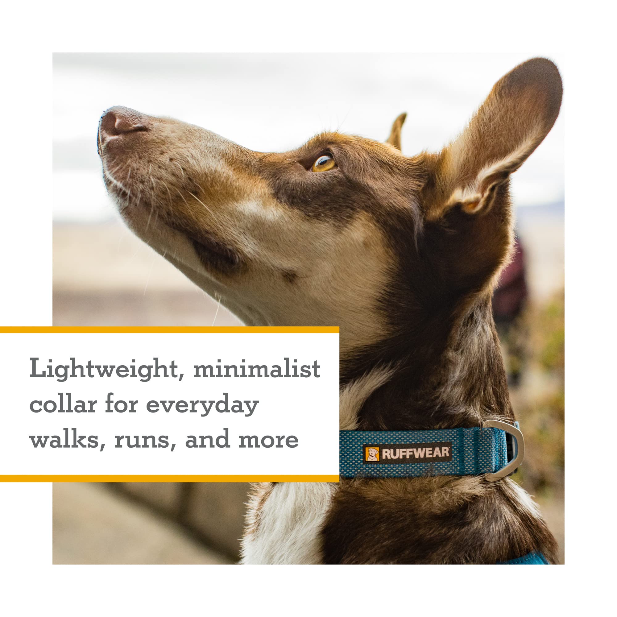 Ruffwear, Hi & Light Dog Collar, Minimal And Ultralight Collar For Everyday Walks And Runs, Lichen Green, 14-20