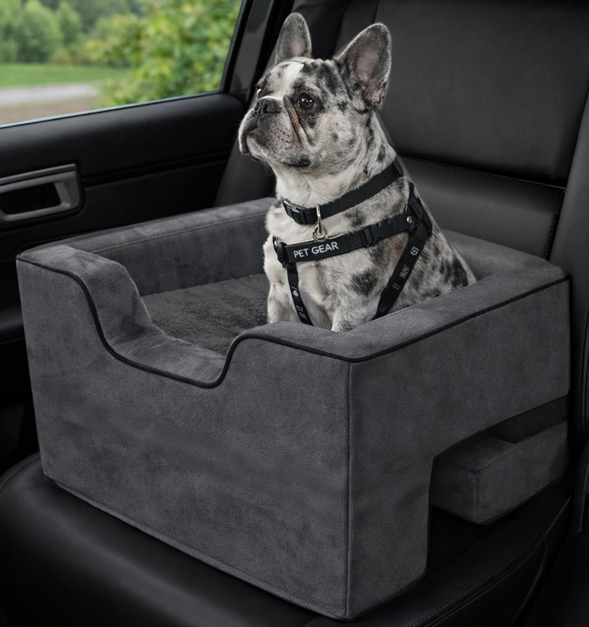Pet Gear Lookout Booster Car Seat, Light Charcoal
