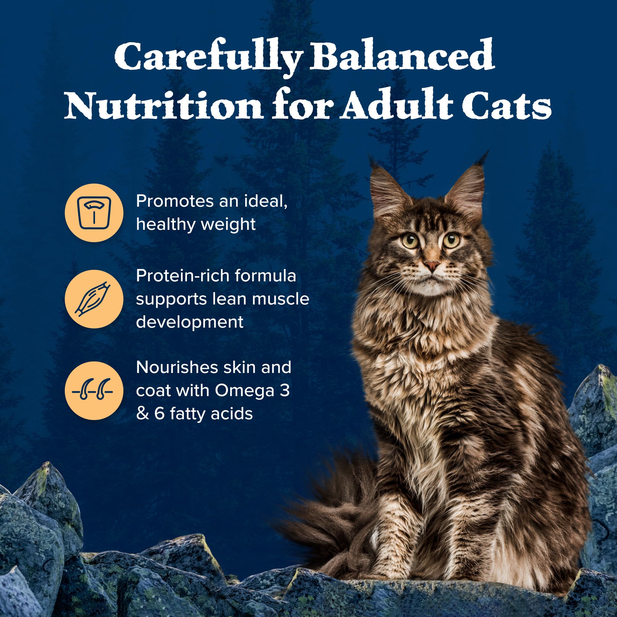 Blue Buffalo Wilderness Natural Adult Weight Management Dry Cat Food, High-Protein & Grain-Free Weight Control Formula, Chicken,
