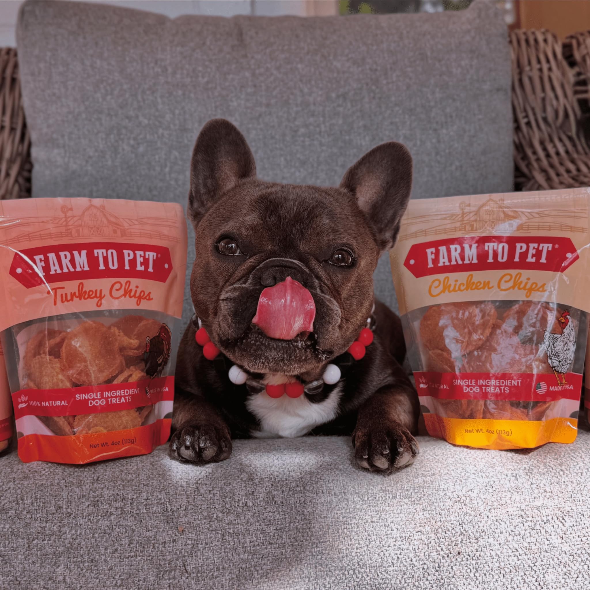 Farm To Pet - Dog Training Treats Chicken & Turkey Chip Protein Pack, 100% All Natural, Single Ingredient Training Treats, Made