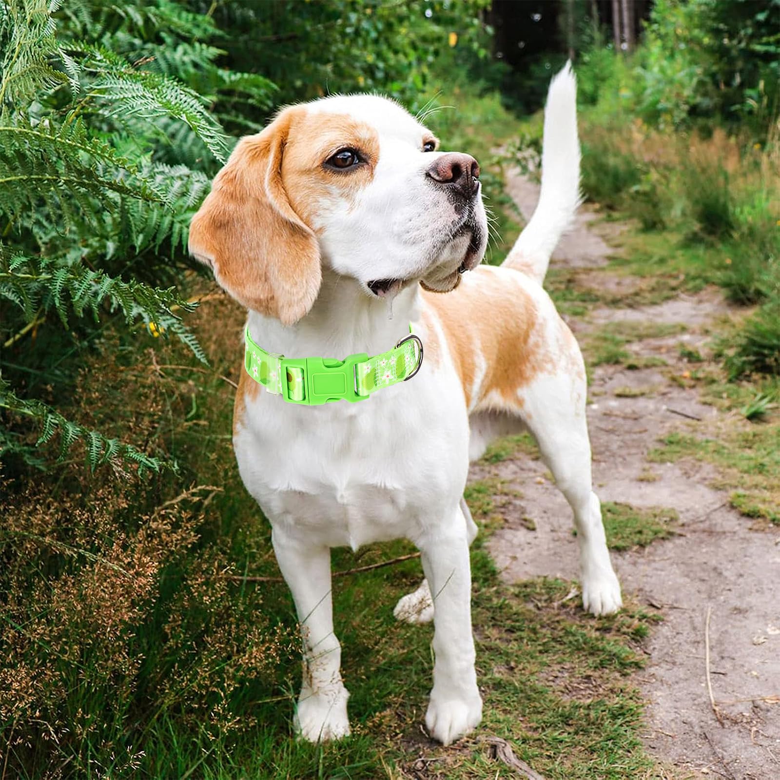 Onefojojo Dog Collar - Cute Green Avocado Design, Soft Nylon Adjustable Quick-Release Buckle, Durable Pet Collar For Boy And Gir