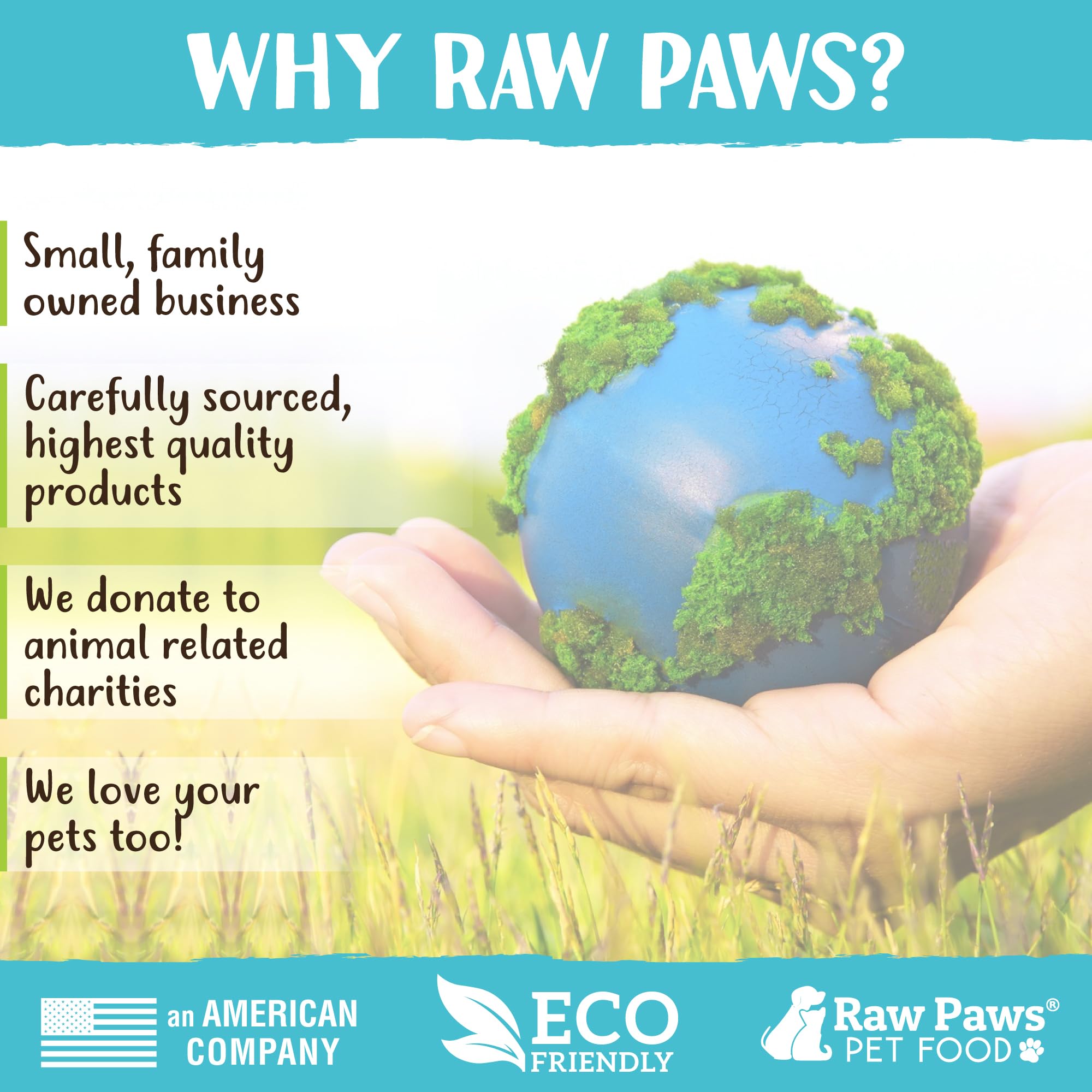 Raw Paws Himalayan Yak Chews for Dogs, Small Chews (10 Count) - Packed in USA - Tibetan Yak Cheese Dog Chew for Small Breeds - H