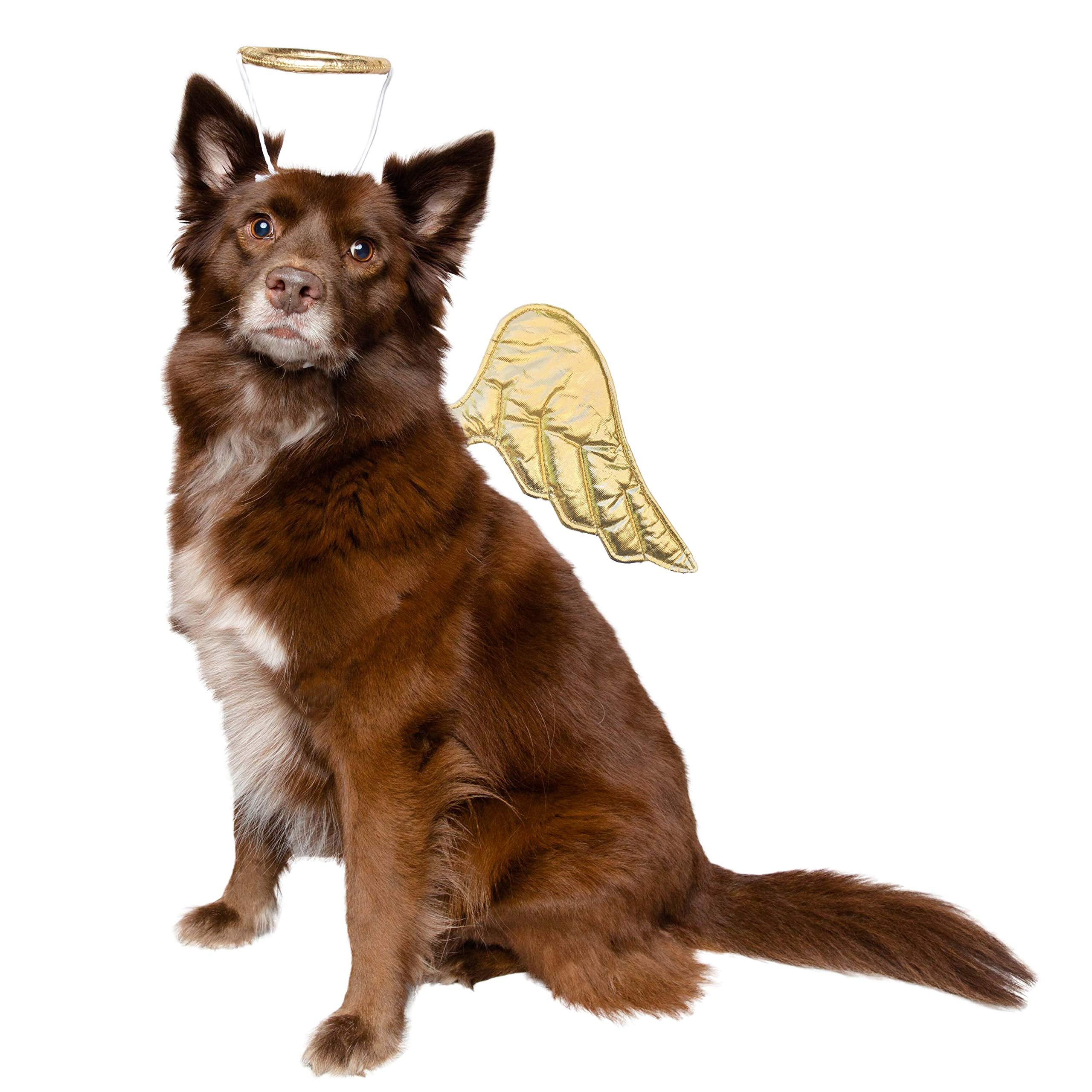 Pet Krewe Angel Dog Costume Wings & Cat Angel Costume Wings - Harness Attachment, One Size Fits All - Perfect For Halloween, Christmas Holiday, Parties, Photoshoots, Gifts For Dog & Cat Lovers
