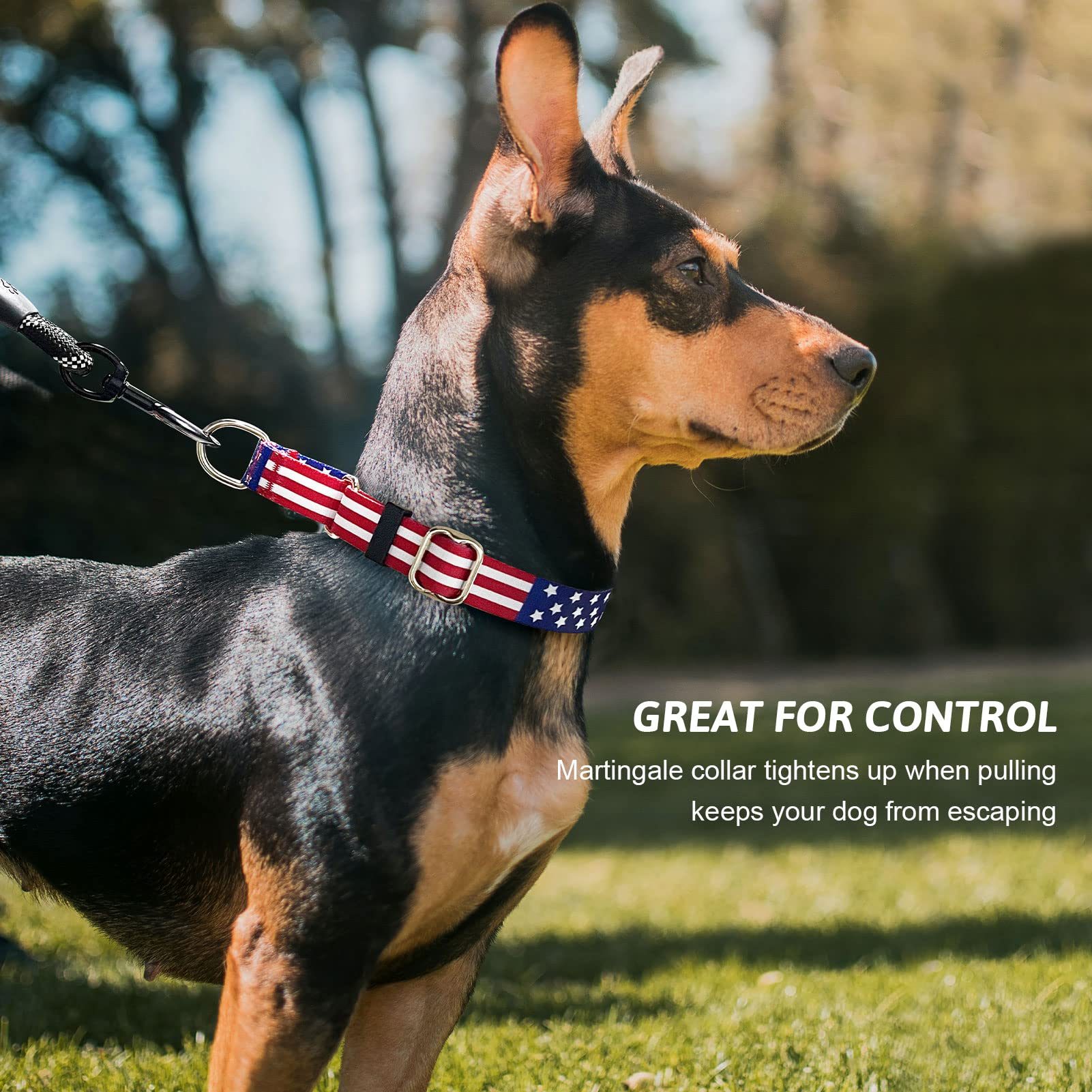 Martingale Collar For Dogs, Adjustable Soft Nylon Dog Collars With Special Design Cute Patterns For Small Medium Large Dog