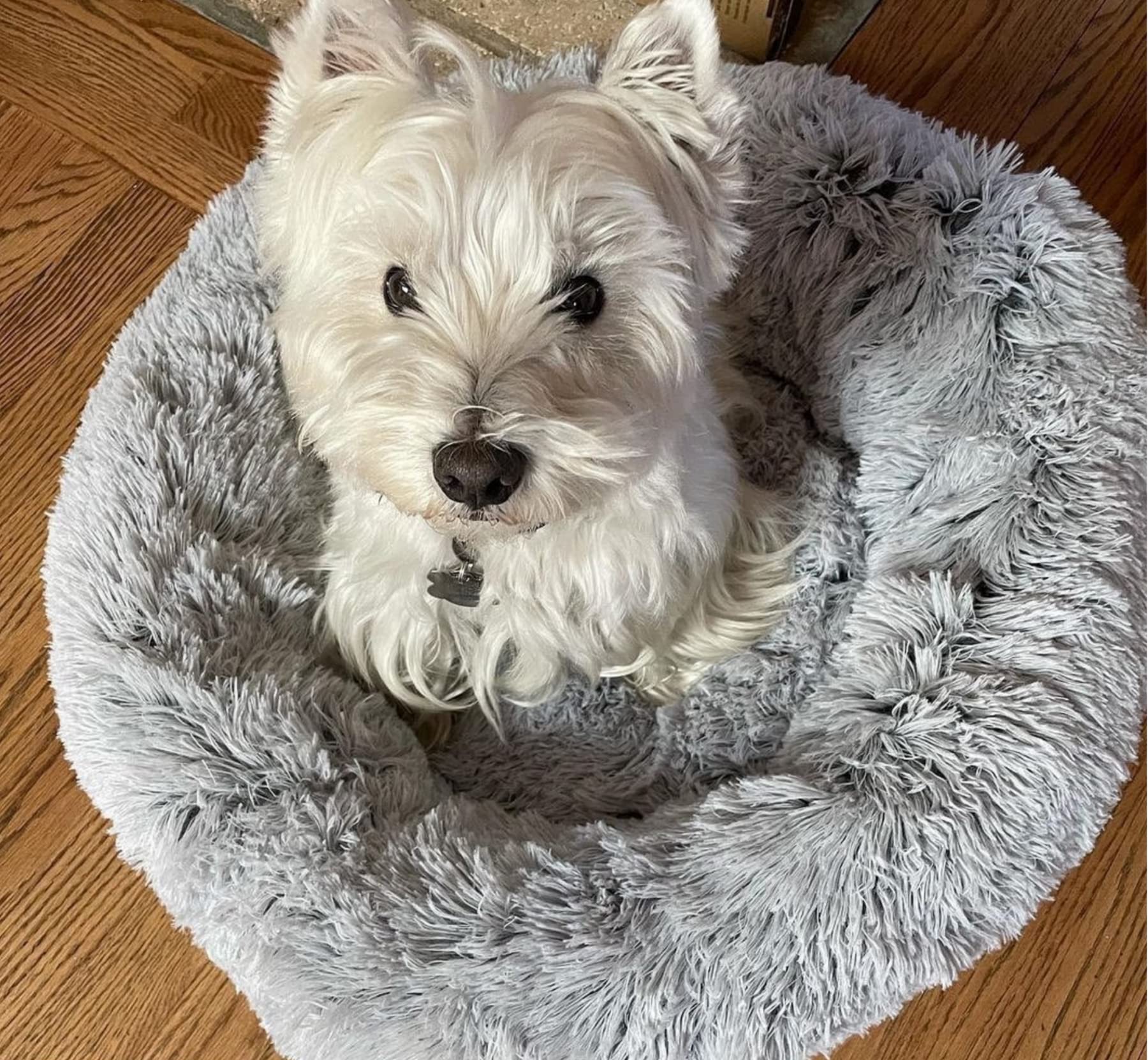 Mr. Peanut's OrthoPlush Pet Bed