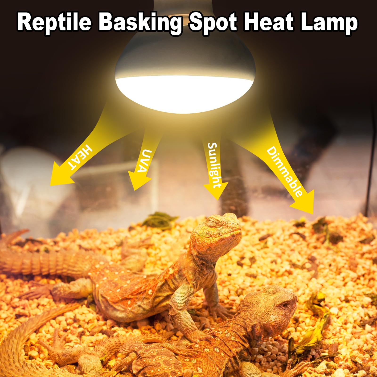 MIXJOY 100W Reptile Heat Lamp Bulbs, 4-Pack UVA Daylight Basking Light for Lizards, Tortoises, Bearded Dragons - Silver Glass Model PR80100