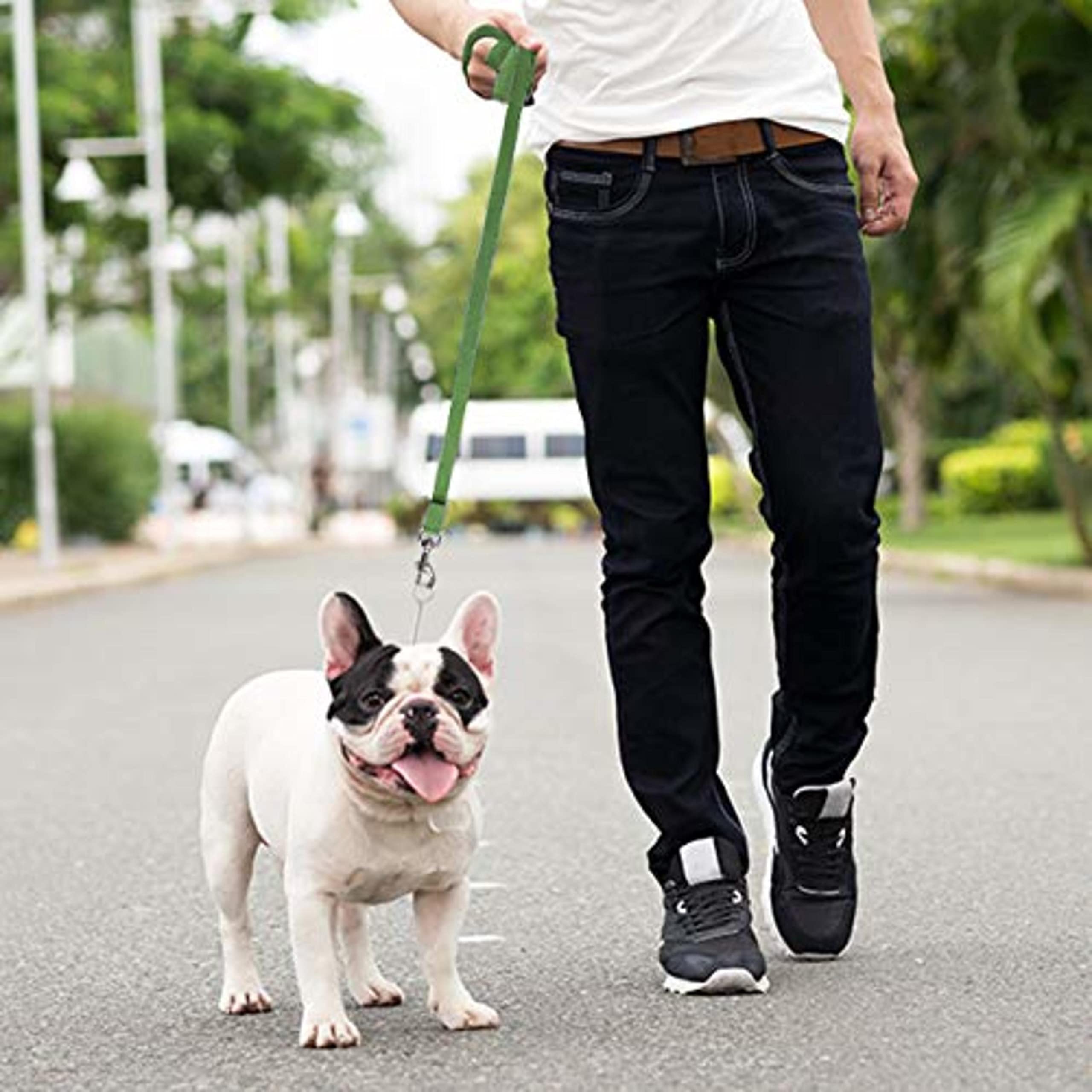 Downtown Pet Supply - Long Dog Training Leash for Recall & Obedience - Nylon, 30 ft, Hunter Green