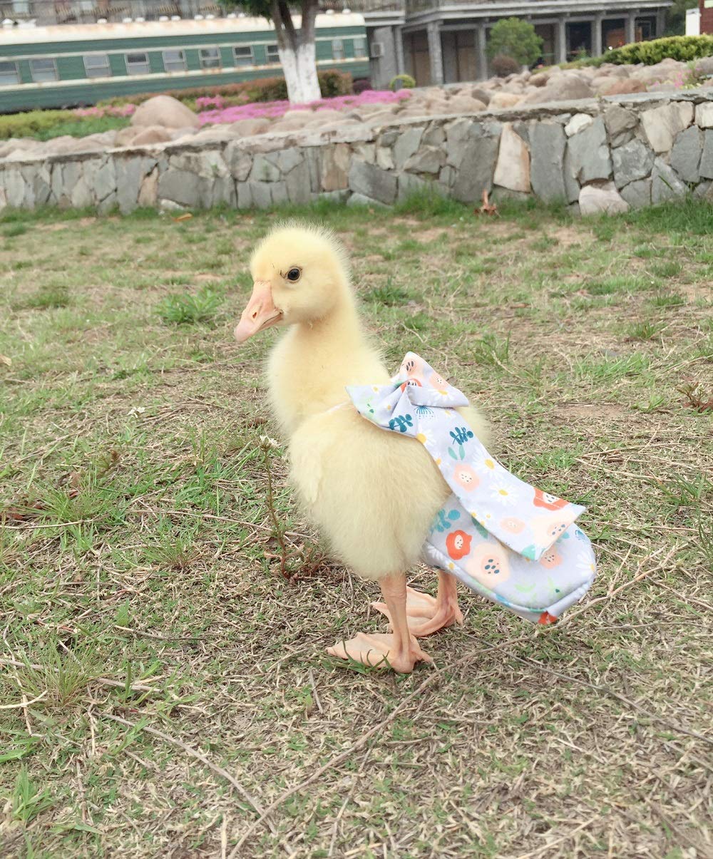 HEZHUO Poultry Diapers, Waterproof, Adjustable, Washable & Reusable - Duck, Chicken & Goose Supplies (2XL:450g-600g)