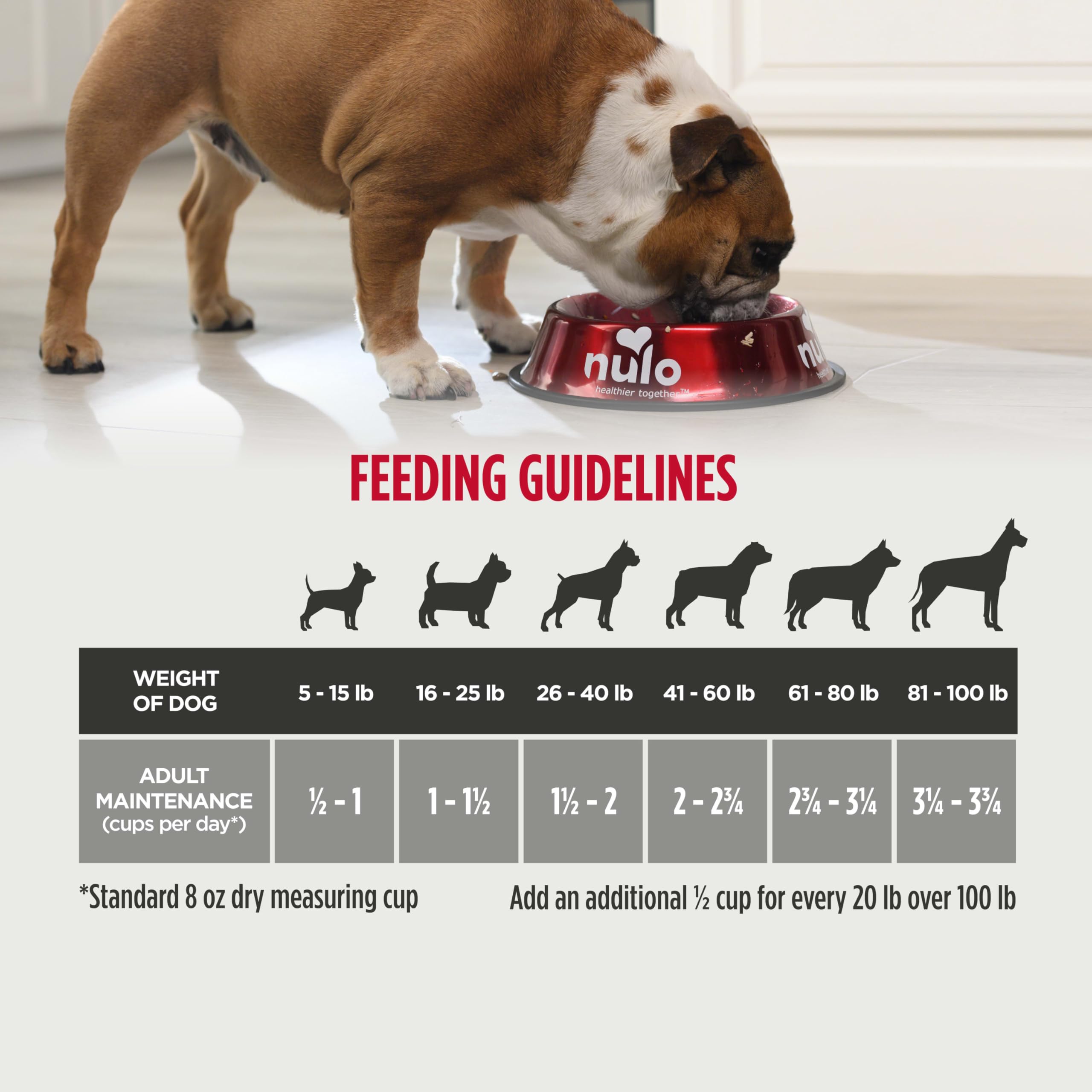 Nulo Frontrunner Ancient Grains High-Protein Dog Food, Chicken, Oats, & Turkey Recipe- Natural Dry Dog Food with Probiotics, Gra