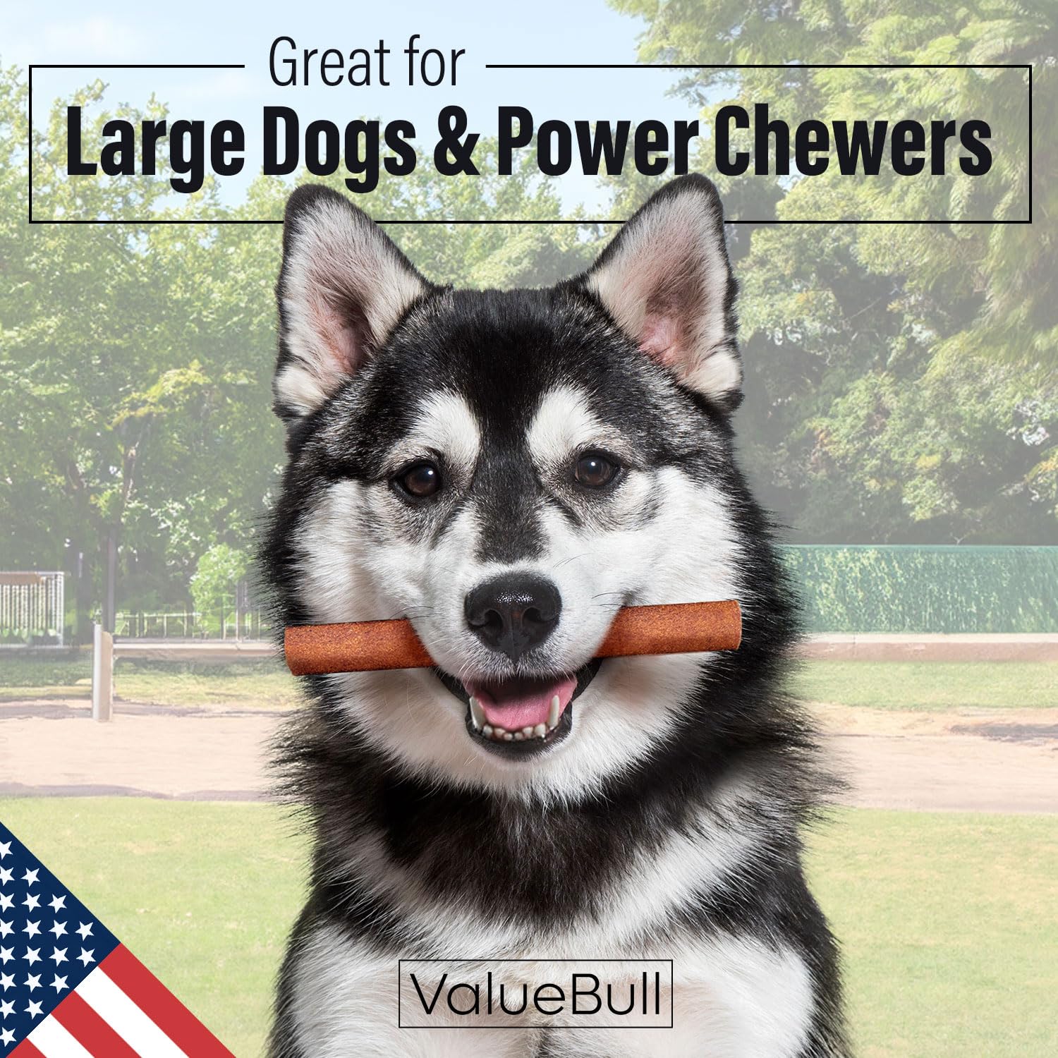 ValueBull USA Collagen Sticks for Dogs, 6 Inch Jumbo Chews, Natural Long-Lasting Dog Treats, 100 Count Bulk Pack - Promotes Join