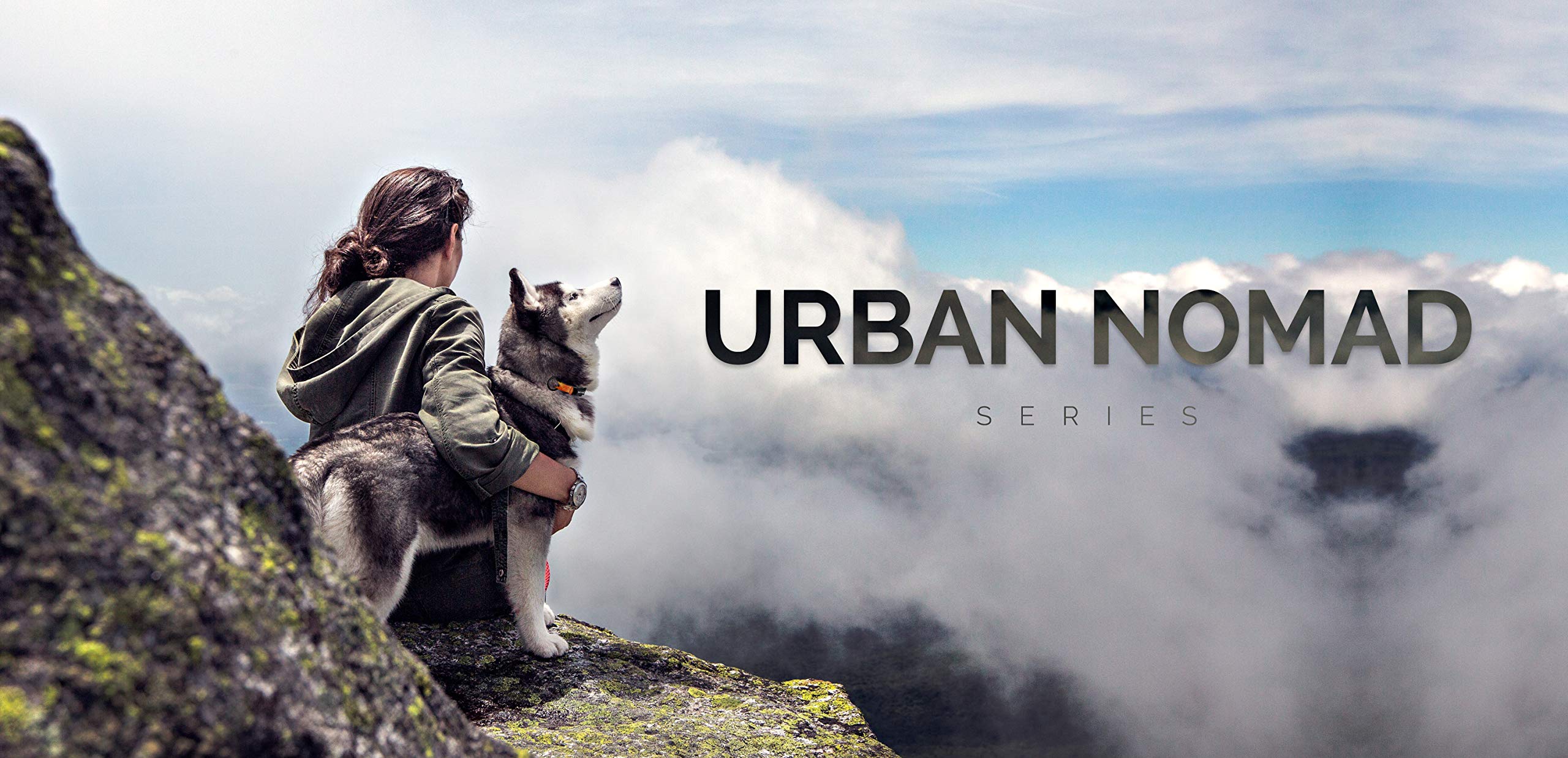 Tiger Tail Urban Nomad Dog Collar - Waterproof, Durable, Odor Proof, Medium, Black, Premium Coated Nylon