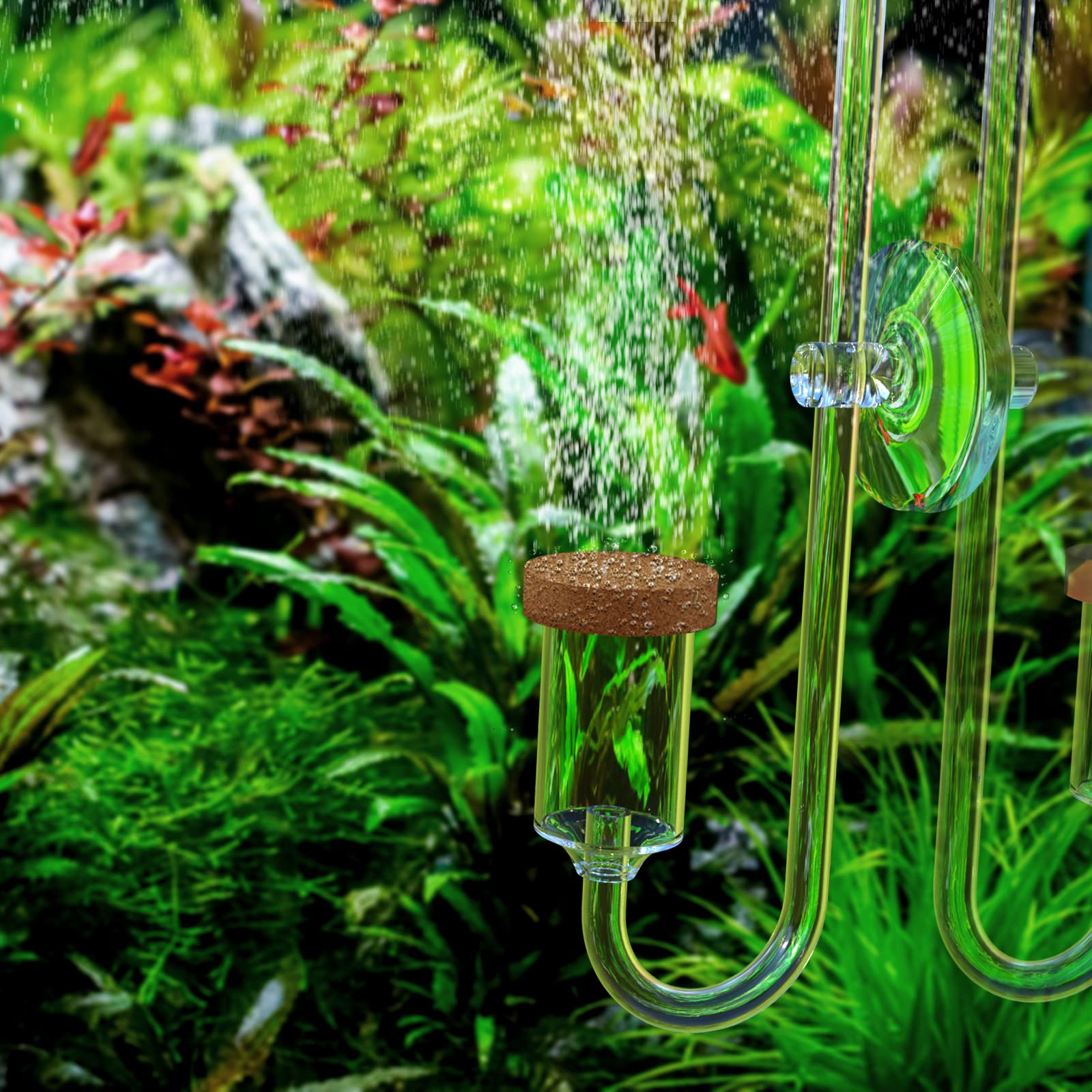 FZONE Aquarium CO2 Neo Diffuser - Large L-24mm, Transparent Ceramic, Durable Plastic