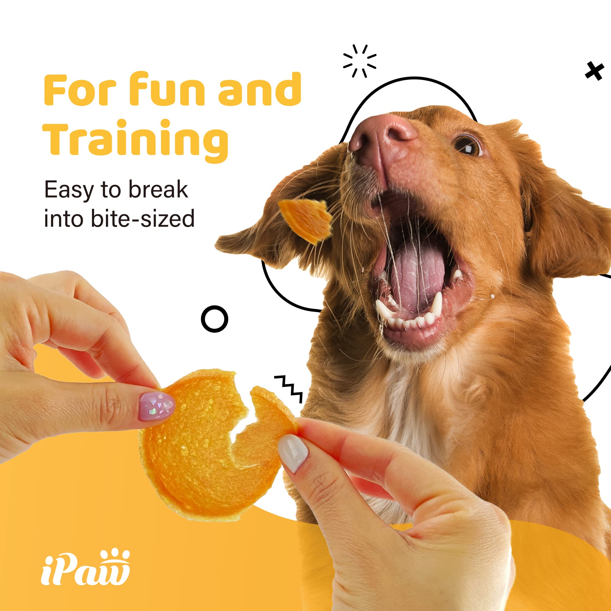 iPaw Dog Treats for Puppy Training, All Natural Human Grade Dog Treat, Hypoallergenic, Easy to Digest (Chicken Chips), 2 Packs