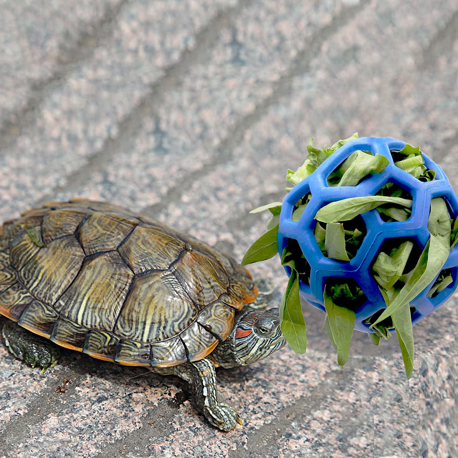 Tirifer Tortoise Feeder Ball, 5.5 Inch, Encourages Foraging Behaviors, Keeps Pets Entertained