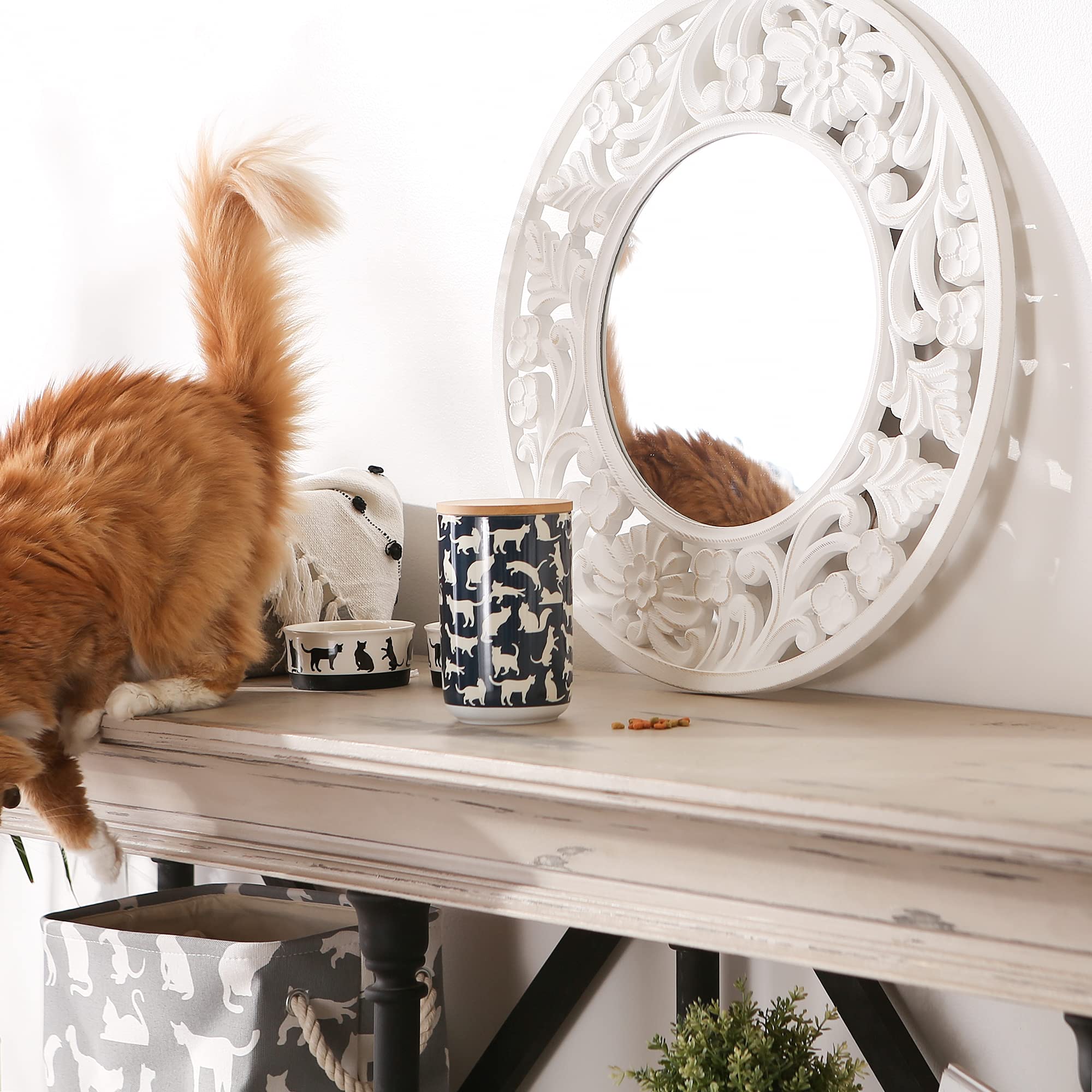 DII Cats Meow Navy  Ceramic Treat Canister