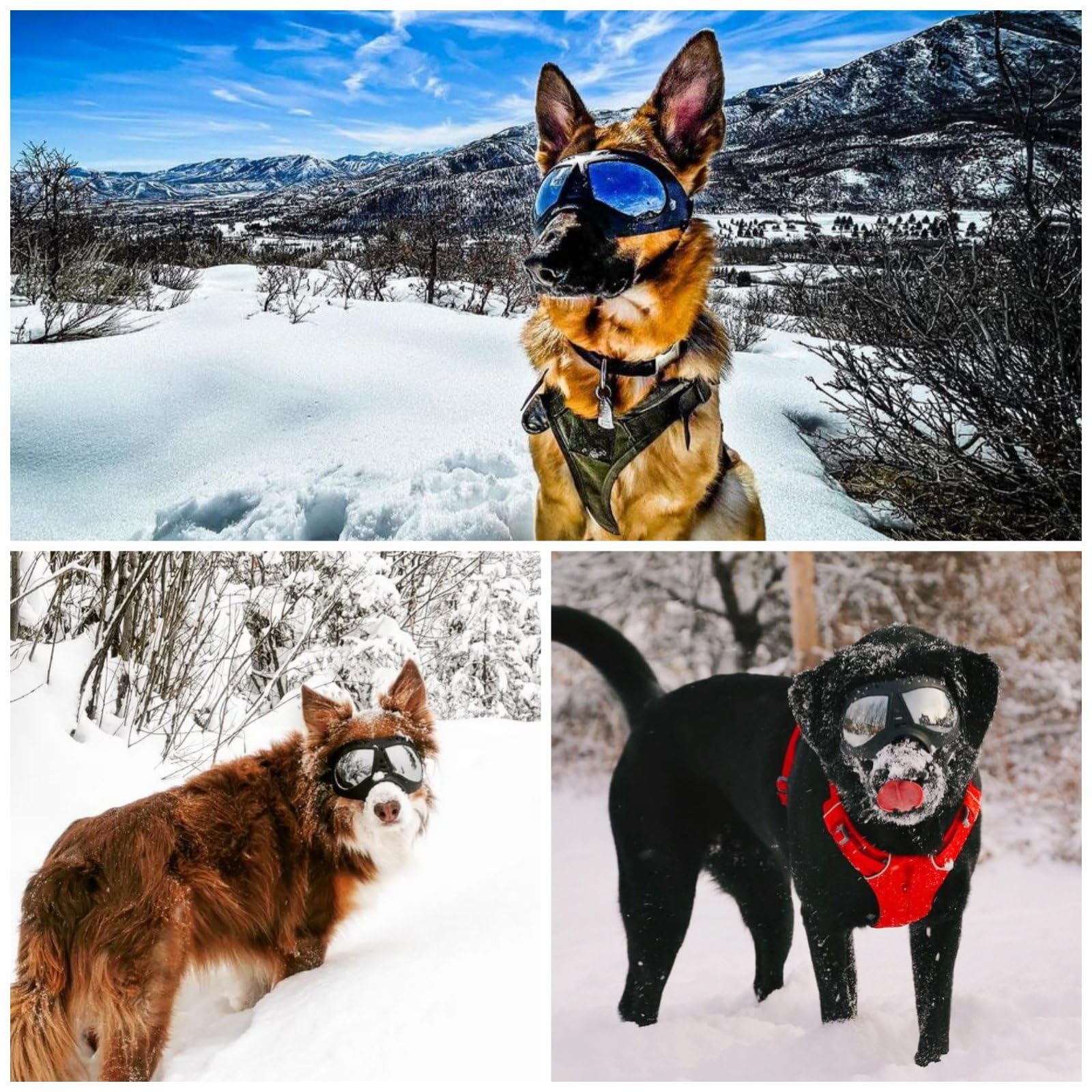 Namsan Dog Goggles for Large Dogs, Wide Snout, Soft Frame, Anti-UV Tactical Dog Sunglasses Medium to Large Breed, Summer Driving