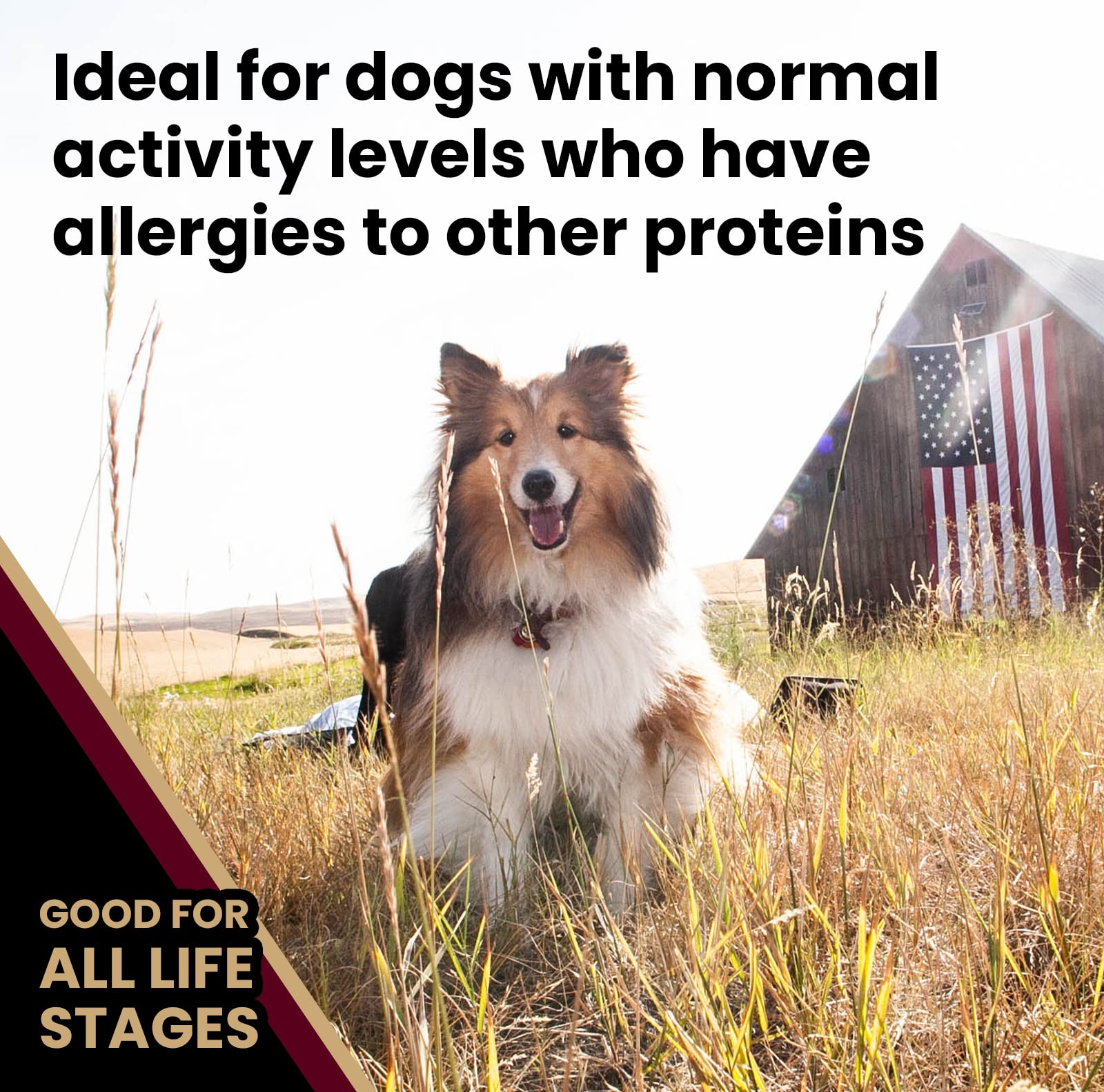 VICTOR Super Premium Dog Food - Lamb Meal & Brown Rice Formula - Gluten-Free Dry Dog Food for All Normally Active Dogs of All Li
