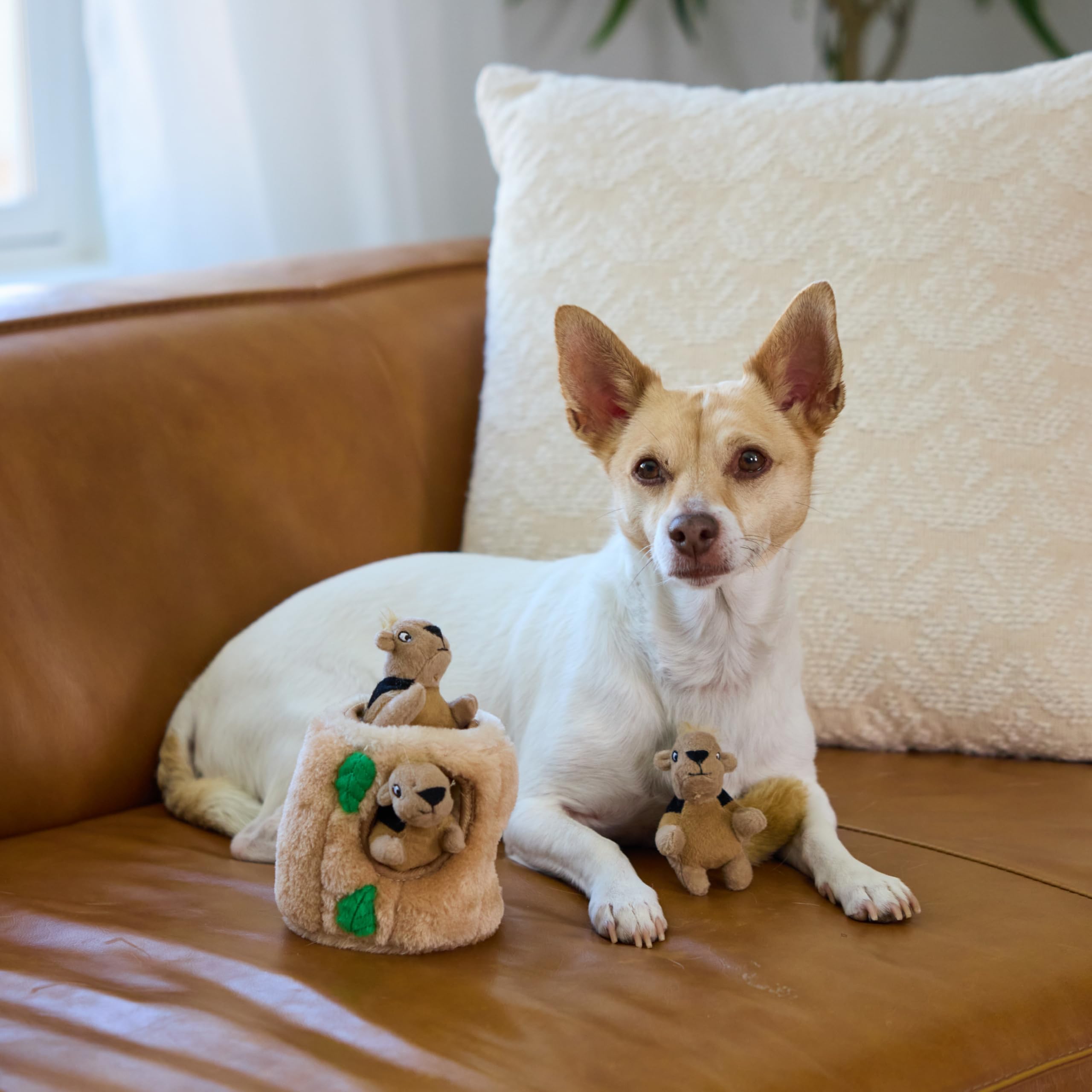 Outward Hound Hide A Squirrel Plush Dog Toy Puzzle, Small, Multi, Model 31001, Durable Polyester