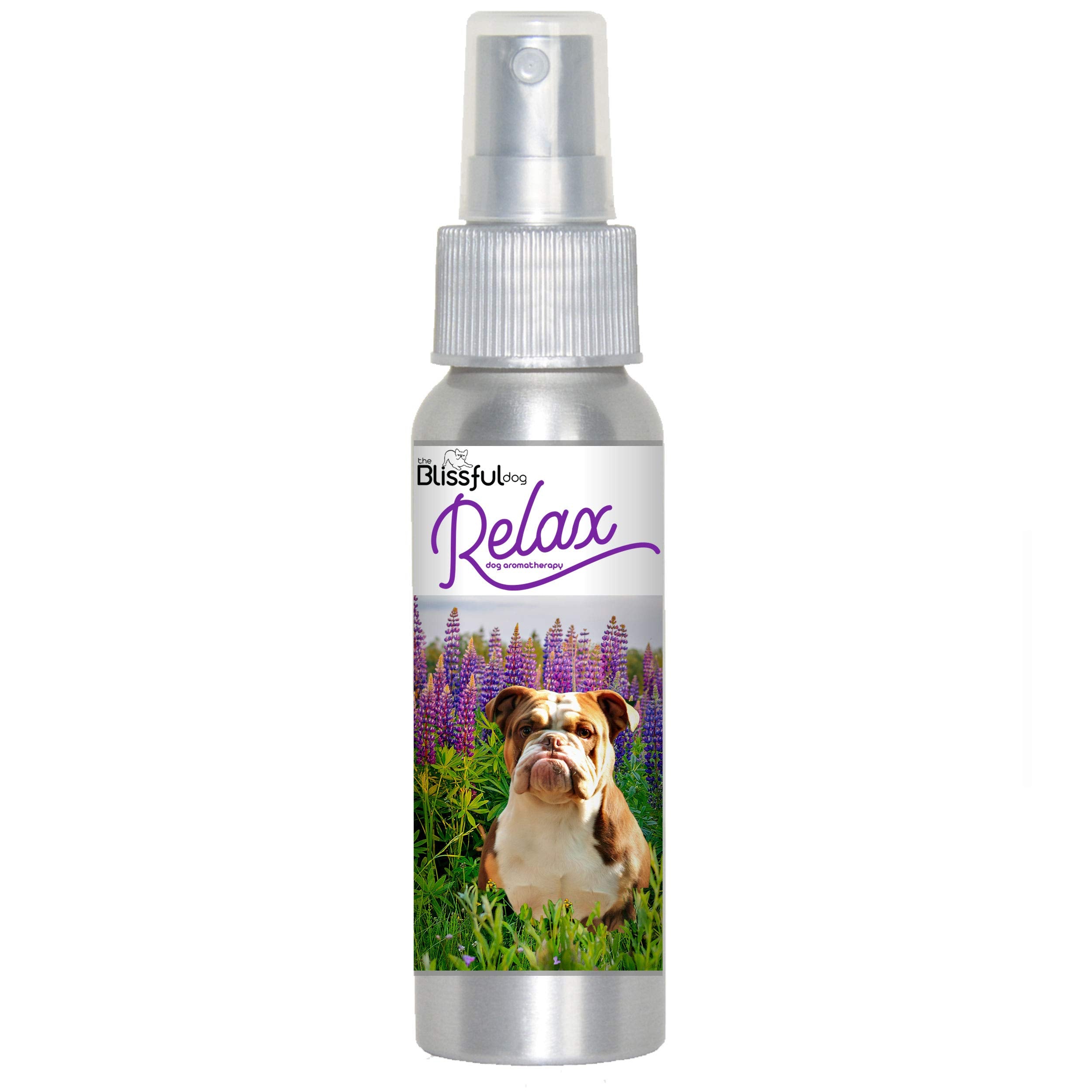 The Blissful Dog Olde English Bulldog Relax Aromatherapy Spray for Your Dog's Anxiety