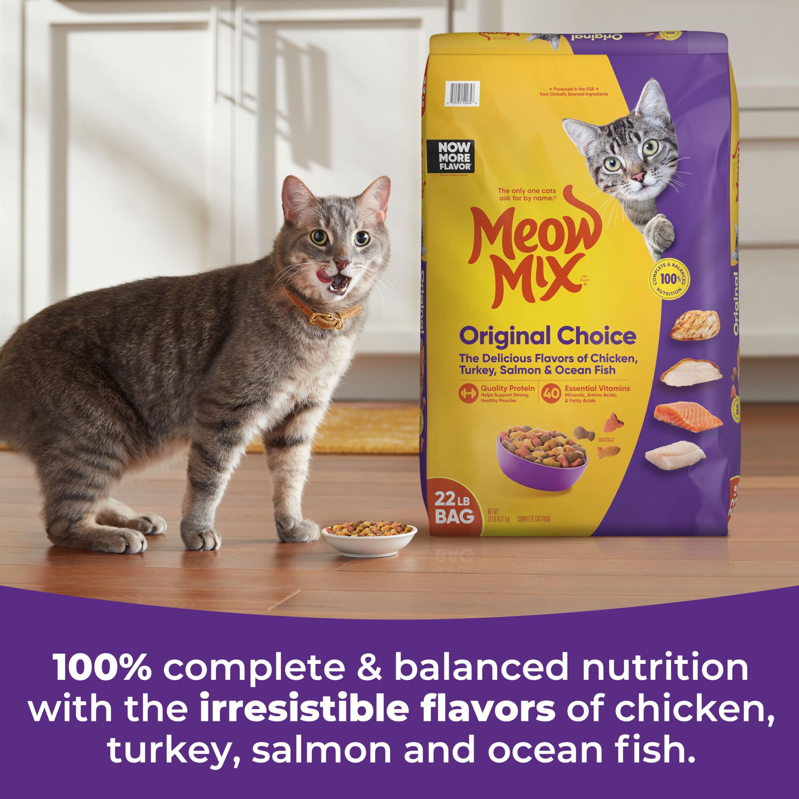 Meow Mix Original Choice Dry Cat Food, 22 Pound Bag
