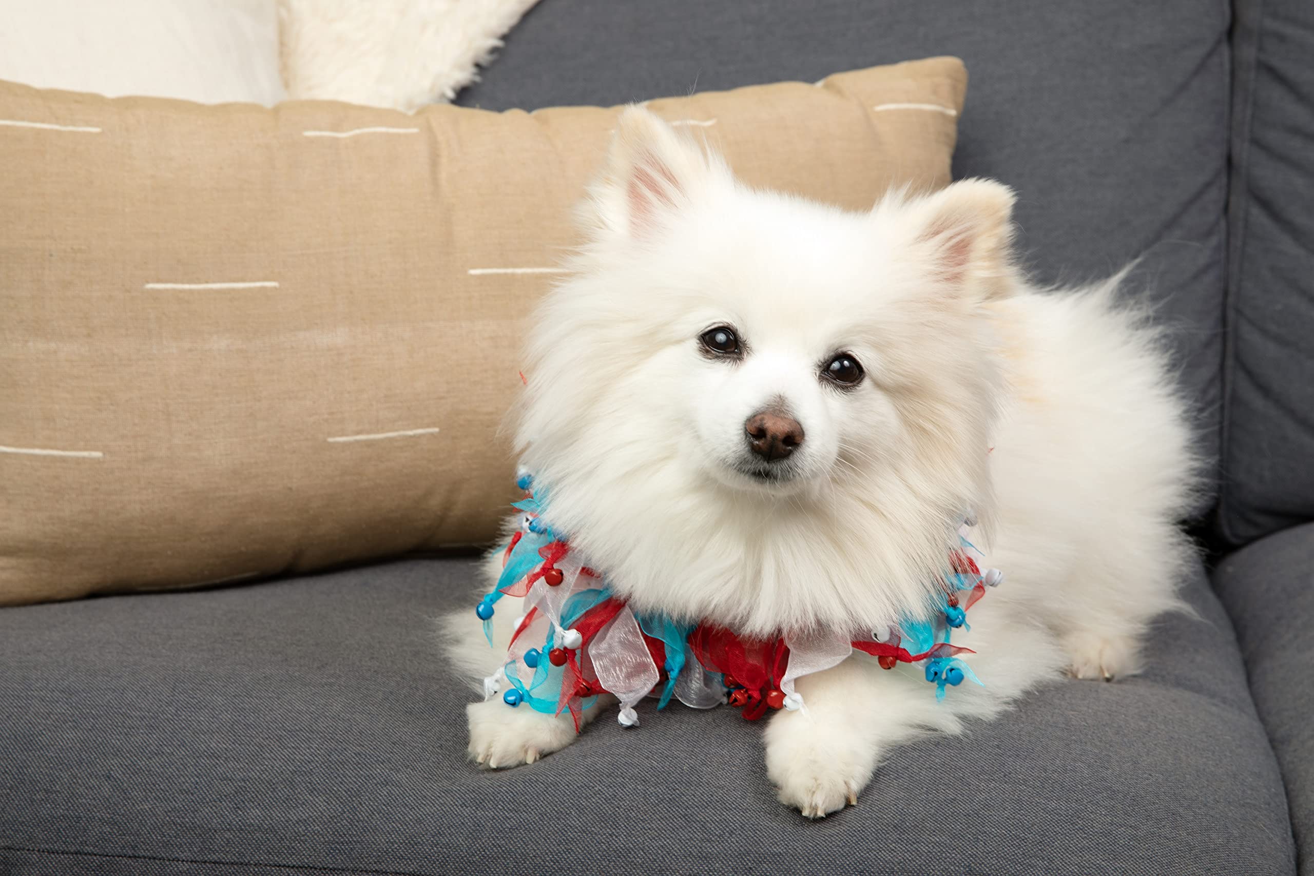 Midlee 4Th Of July Decorative Dog Bell Collar (Small)