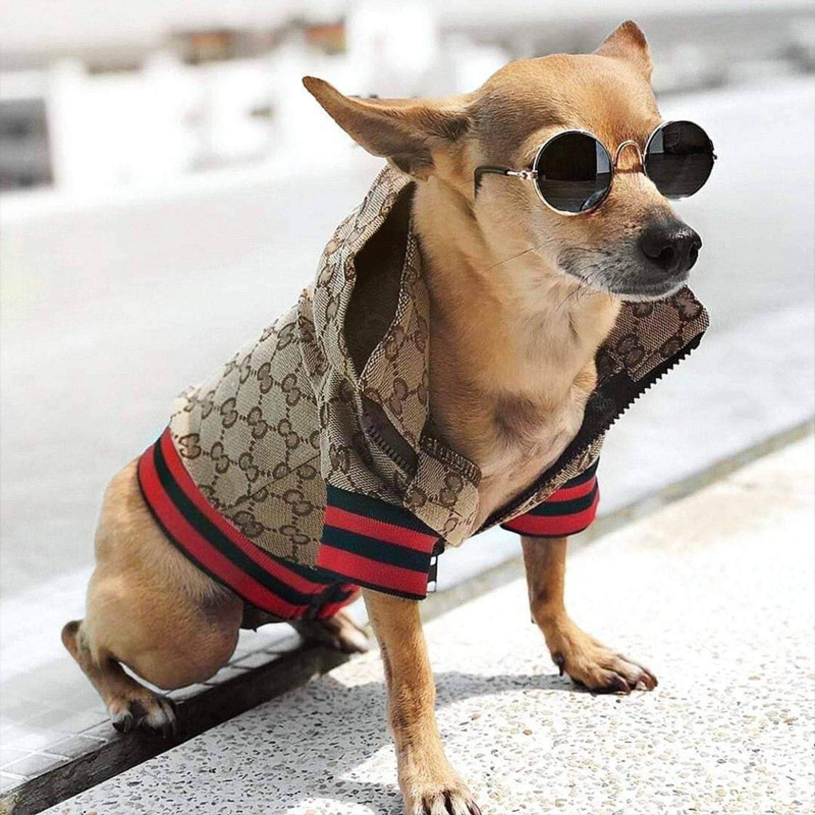 HQREA Dog Hoodie - Luxury Winter Jacket, Zipper Design, Small Size, Cloth Material, Model MINGJ-63704, Color A