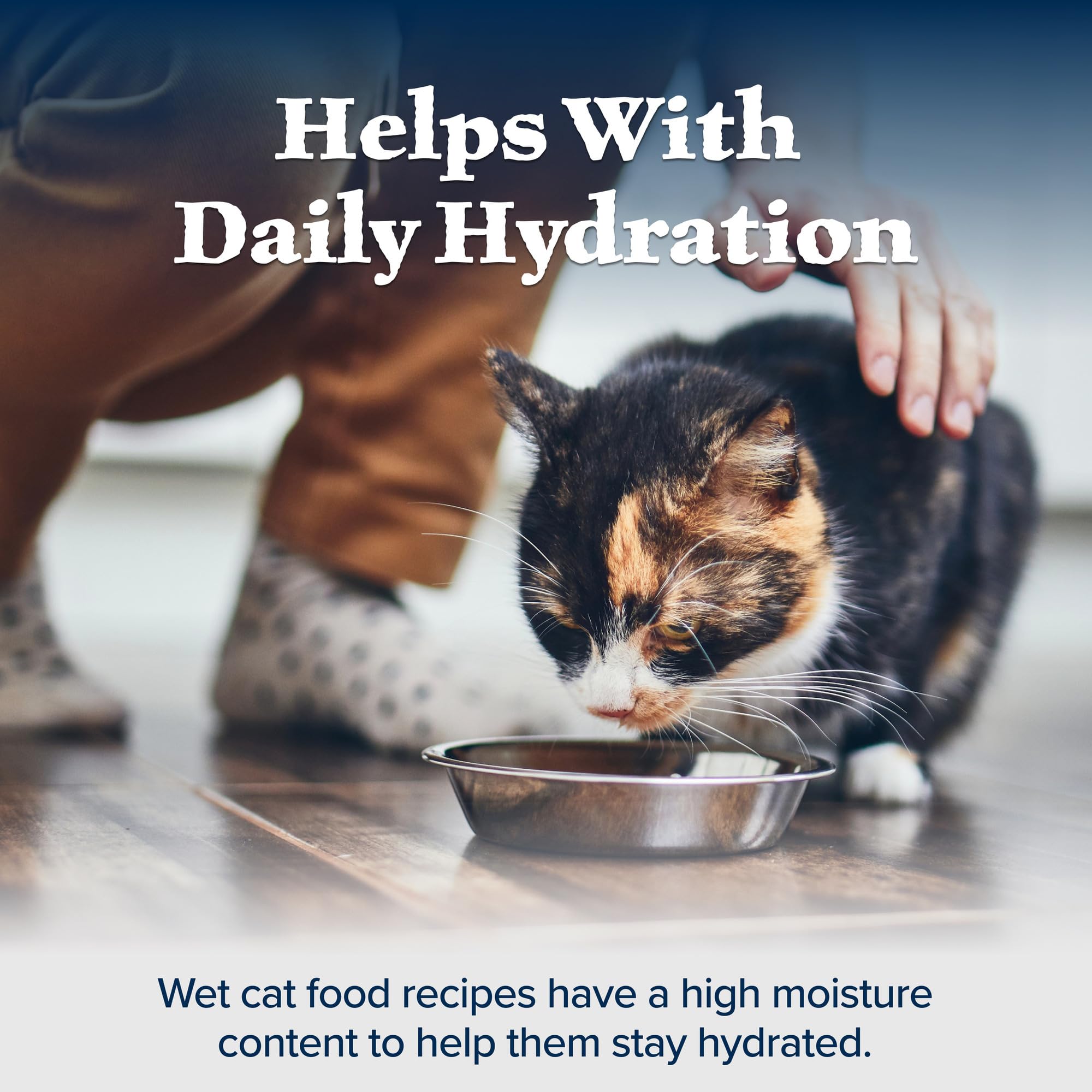 Blue Buffalo Wilderness Natural High-Protein Grain-Free Wet Food for Adult Cats, Turkey Pat  , 5.5-oz. Cans, 24 Count