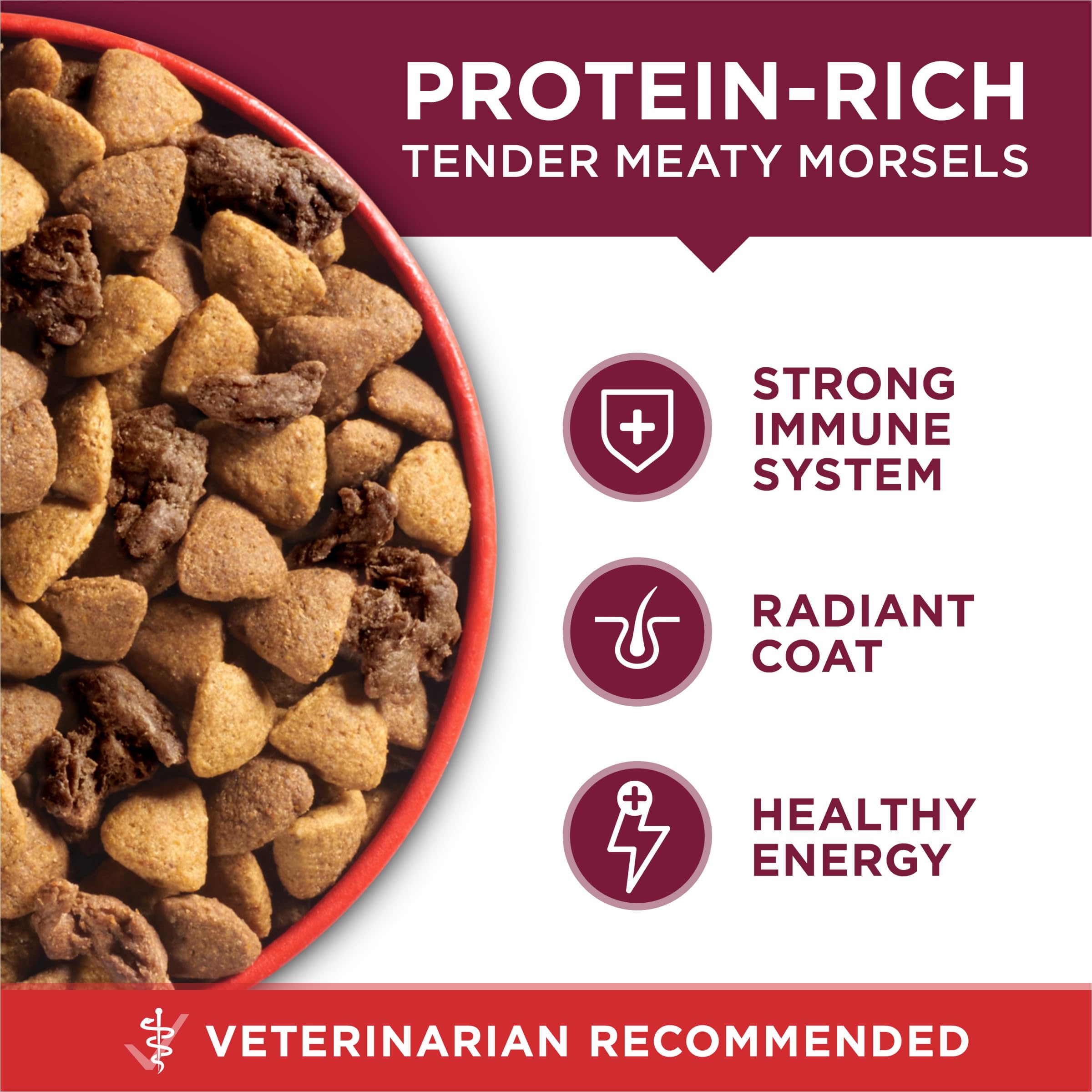 Purina ONE Small Bites Beef and Rice Formula Small High Protein Dry Dog Food Natural With Added Vitamins, Minerals and Nutrients