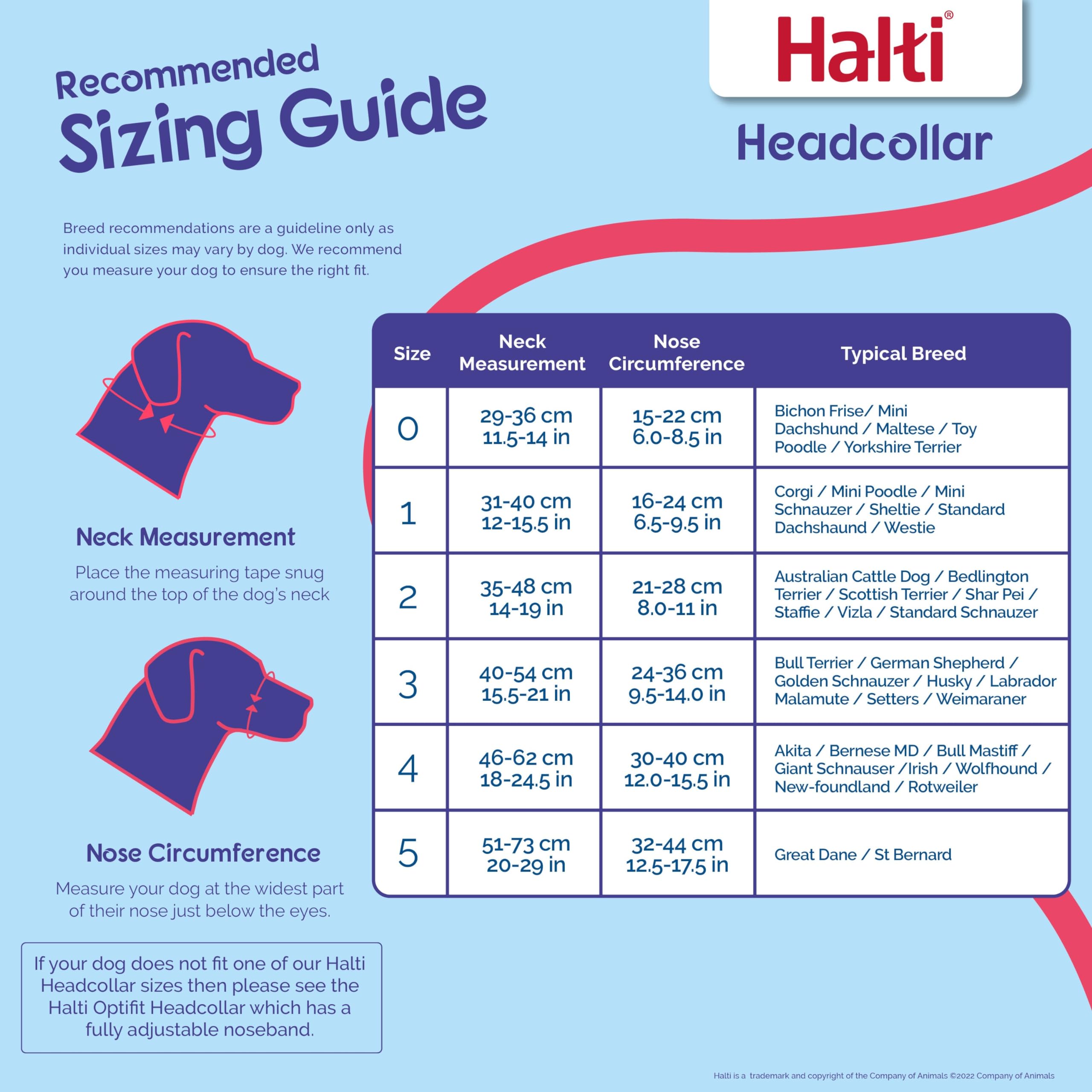 The Company Of Animals - Halti Headcollar - Adjustable And Padded - No Pull Training Tool For Dogs On Walks - Includes Free Trai