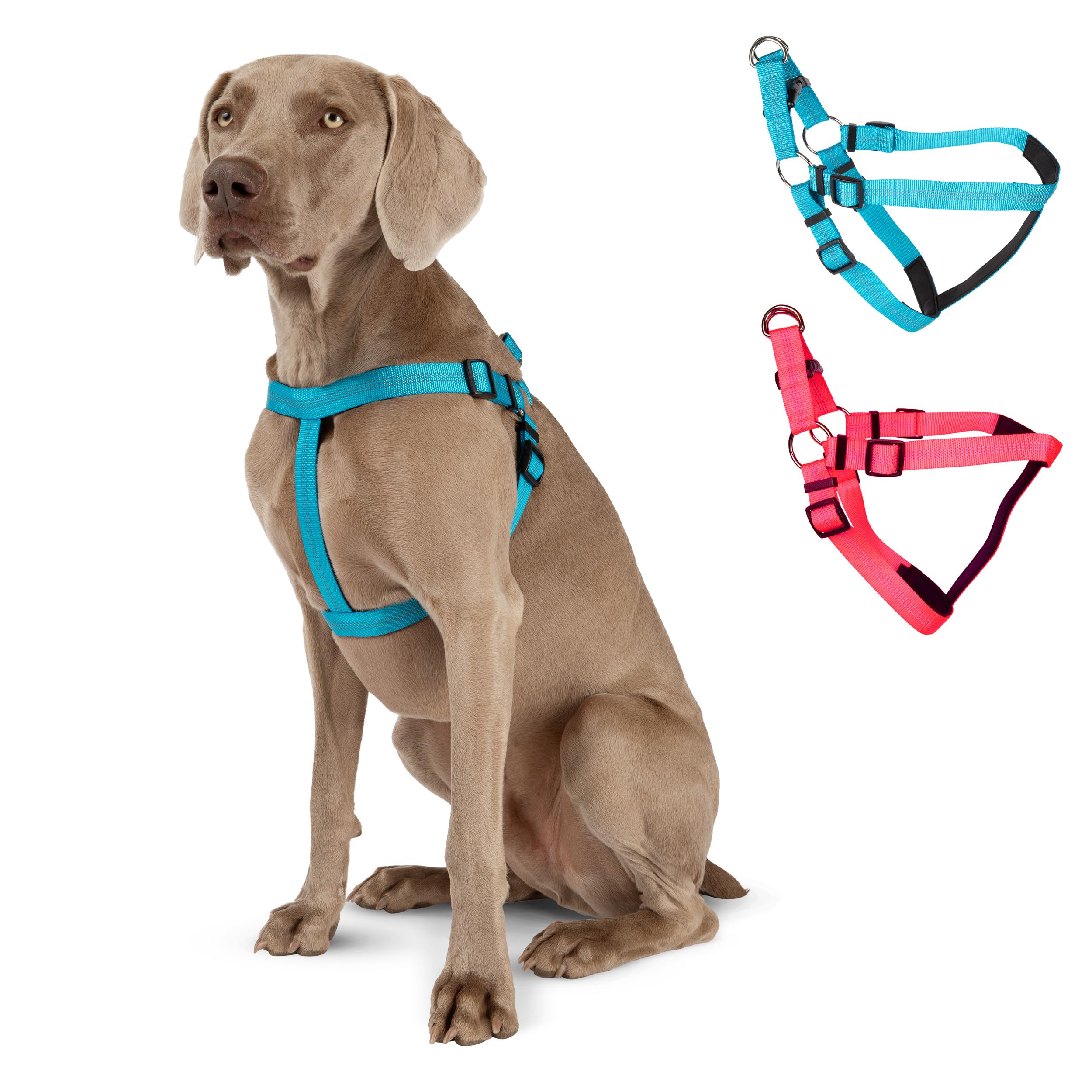 Blazin No Pull Dog Harness - Adjustable Step-In Reflective Nylon Vest Harness - Neoprene Padded For Extra Comfort (Small, Blue)