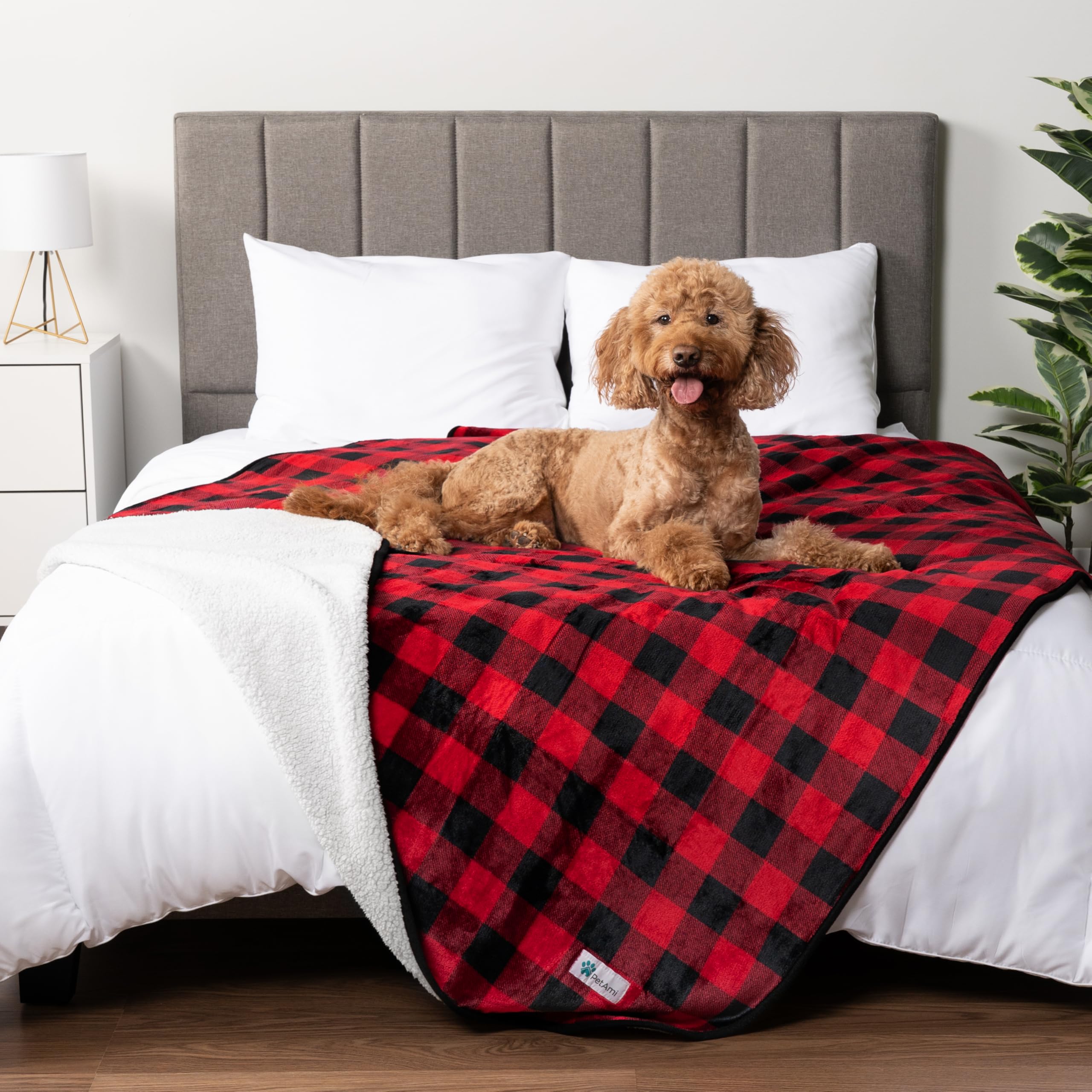 Petami Waterproof Dog Blanket For Medium Large Dogs, Pee Proof Pet Blanket For Bed Couch, Reversible Water Proof Blanket For Puppy Indoor Cat, Soft Dog Pee Crate Cover Washable, 60X80 Checkered Red