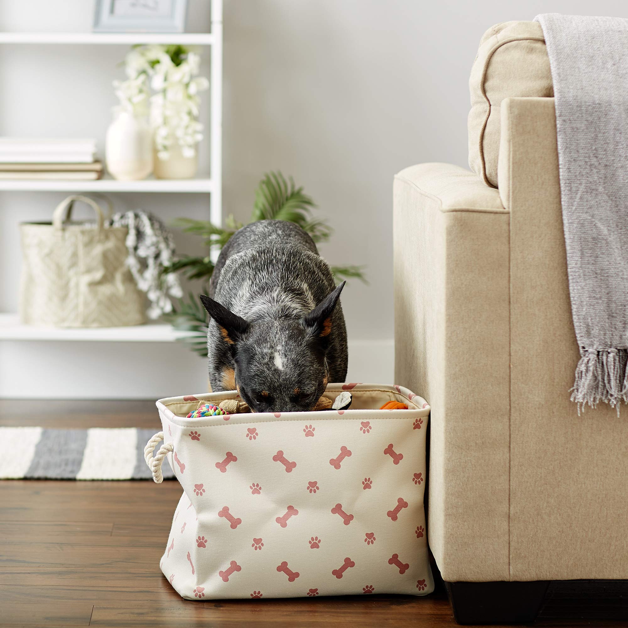 Bone Dry Pet Storage Collection Paw and Bone Print, Medium Rectangle, 16x10x12, Rose