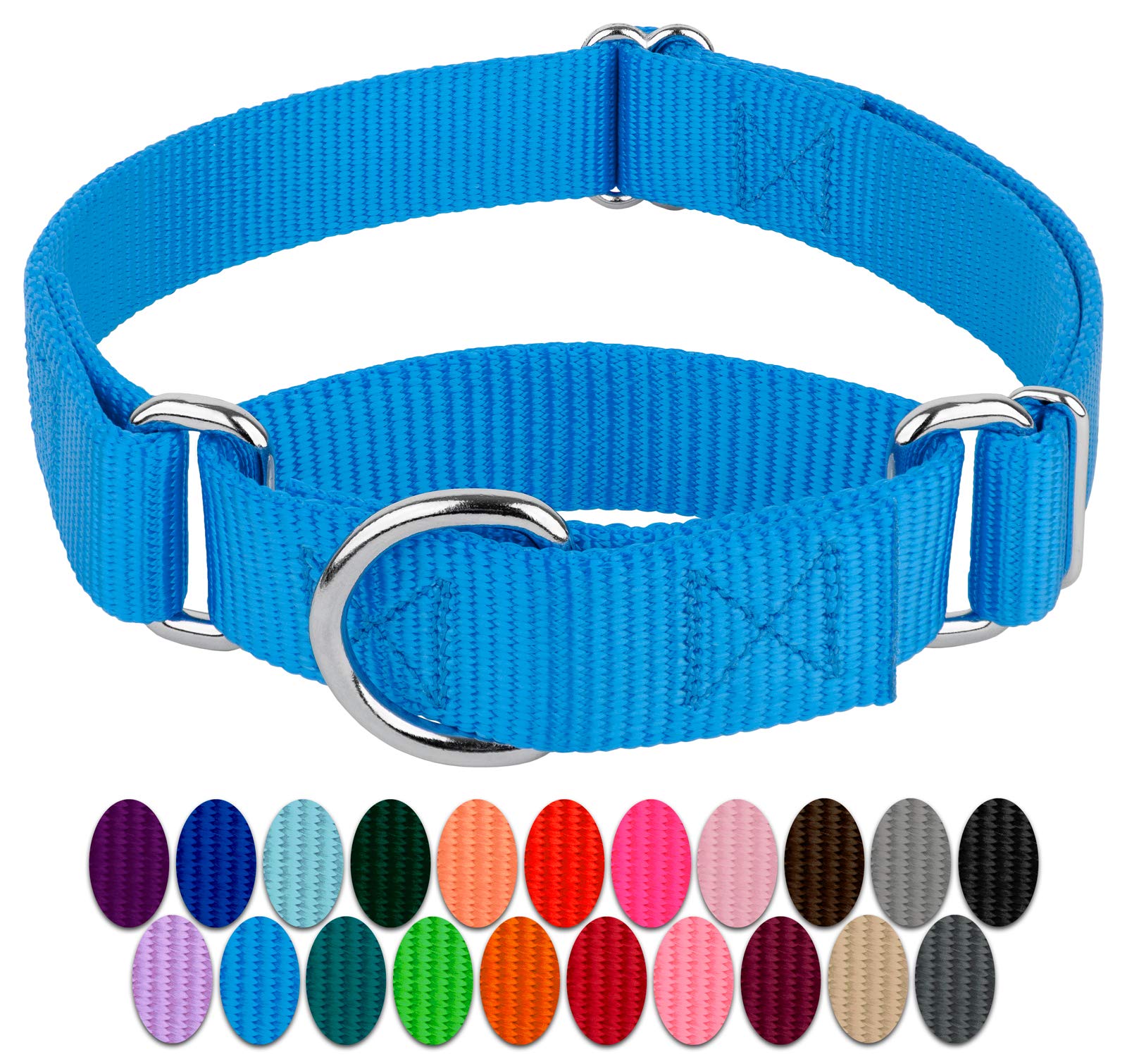 Country Brook Design - Ice Blue Martingale Heavy Duty Nylon Dog Collar - 21 Vibrant Color Options (3/4 Inch Width, Small)