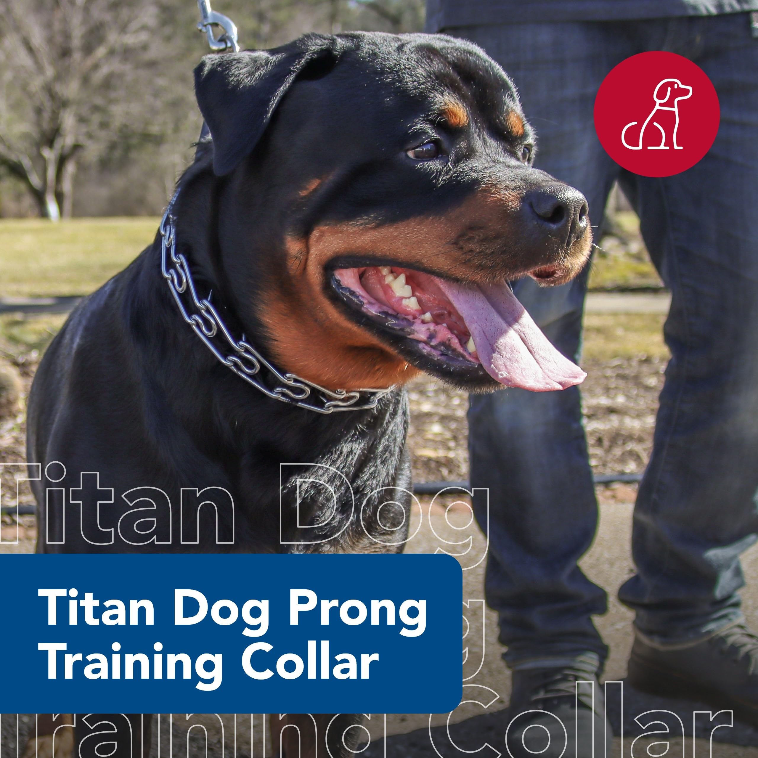 Coastal Pet Titan Dog Prong Training Collar - Rust-Resistant And Prong Metal Training Chain Collar For Dogs - Quality Supplies - 4 Mm X 22'
