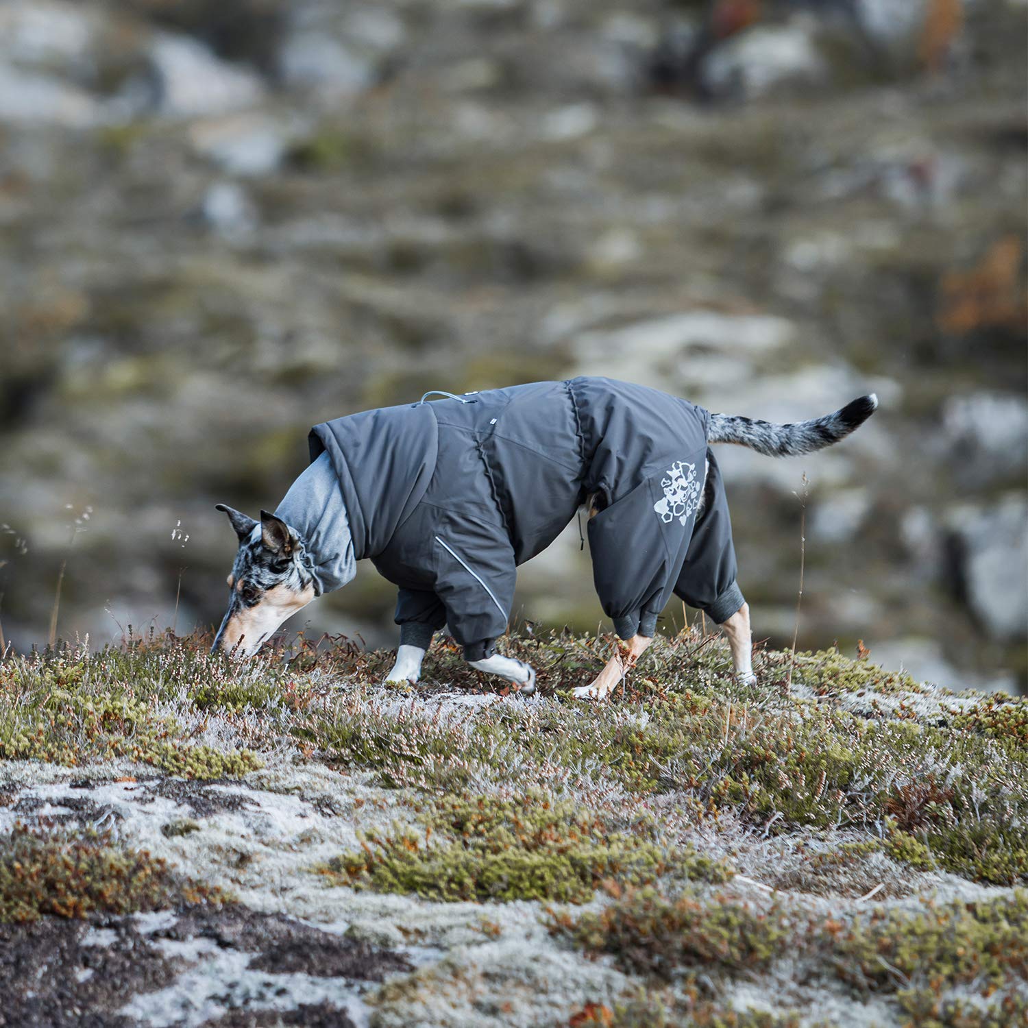 Hurtta Extreme Overall Dog Snowsuit, 24M, Blackberry, Weatherproof, Durable, Stylish