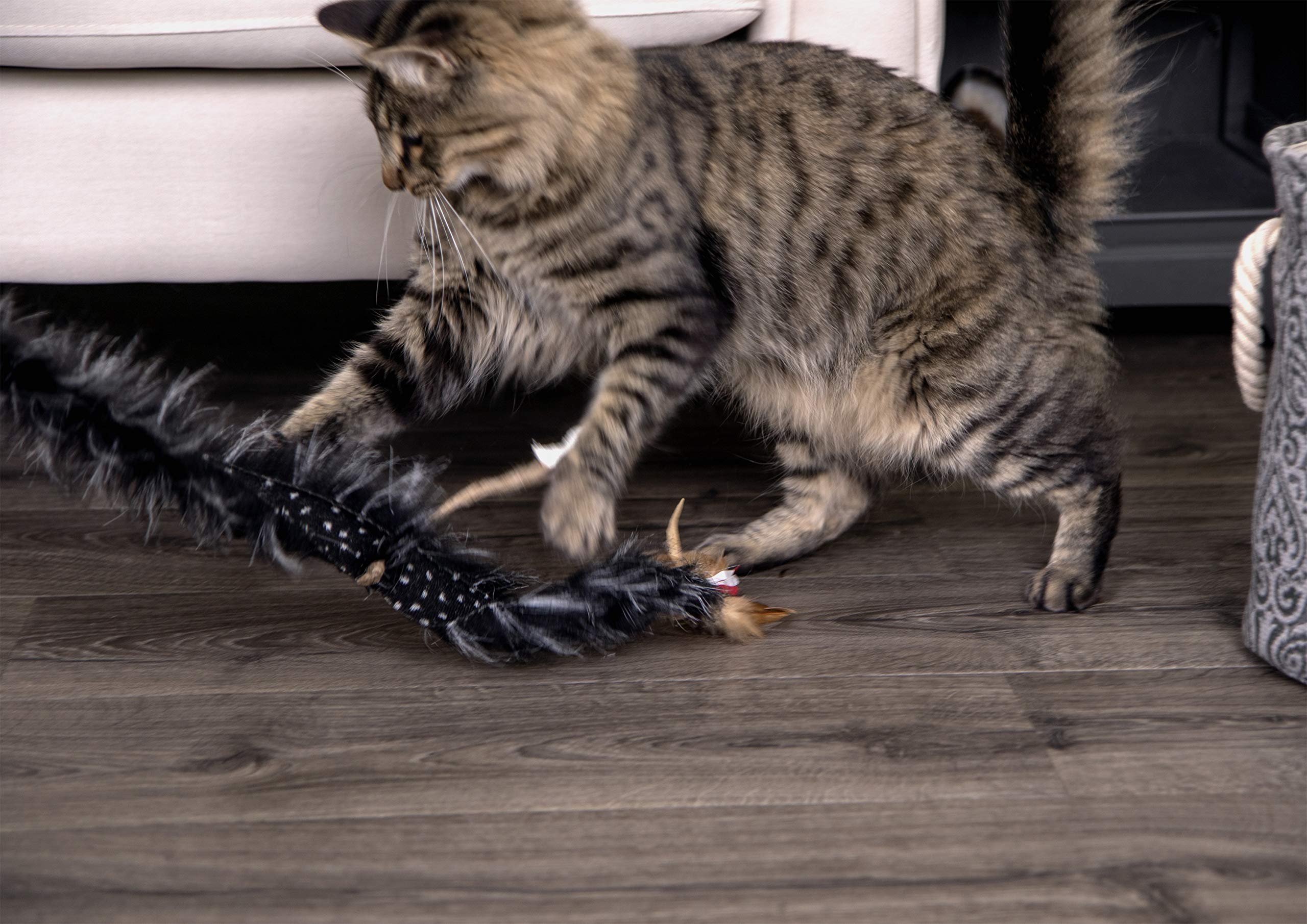 Petlinks Plume Crazy Wand Cat Toy - One Size, Random Color - Engaging Play for Cats, Interactive Fun, Feather Teaser