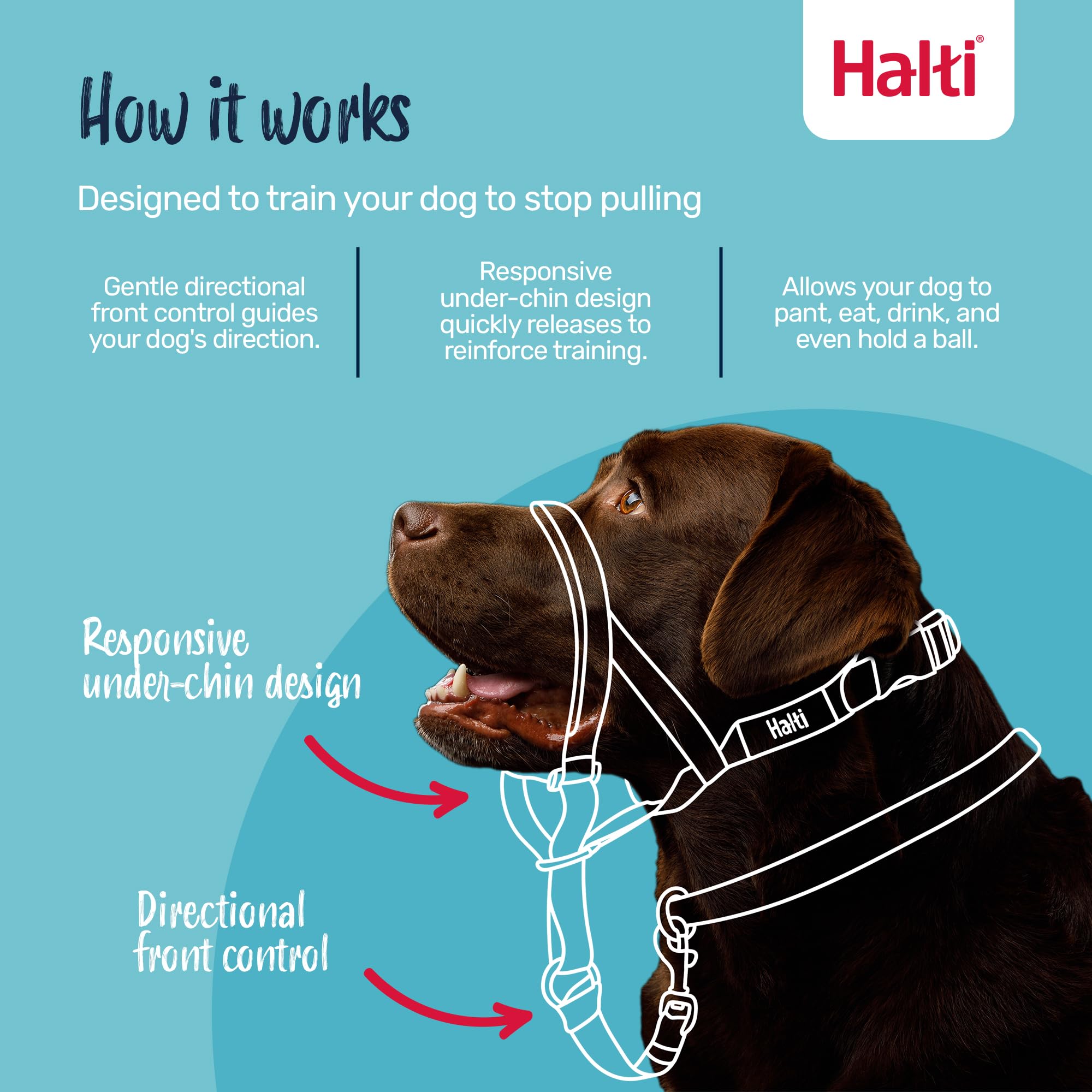 HALTI Headcollar Size 4, Black & HALTI Training Leash Size Large, Black Combination Pack - Stop Your Dog Pulling on the Leash. A