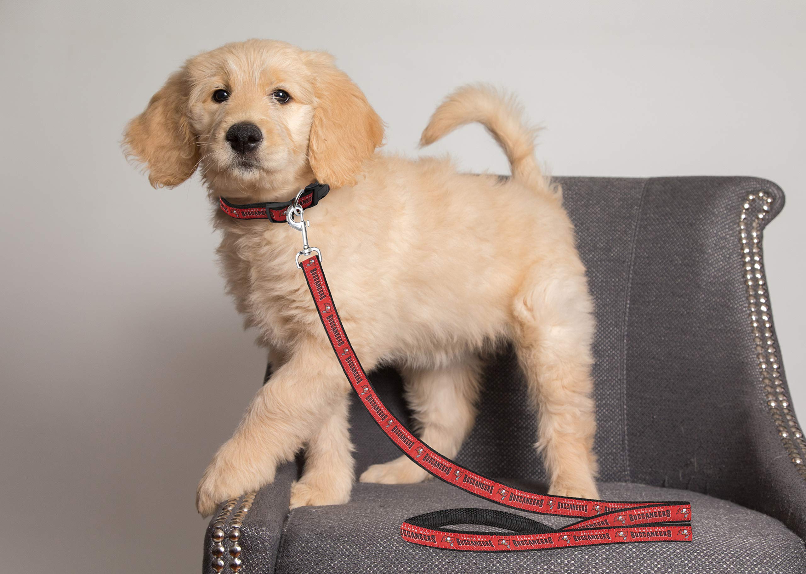 Tampa Bay Buccaneers Leash