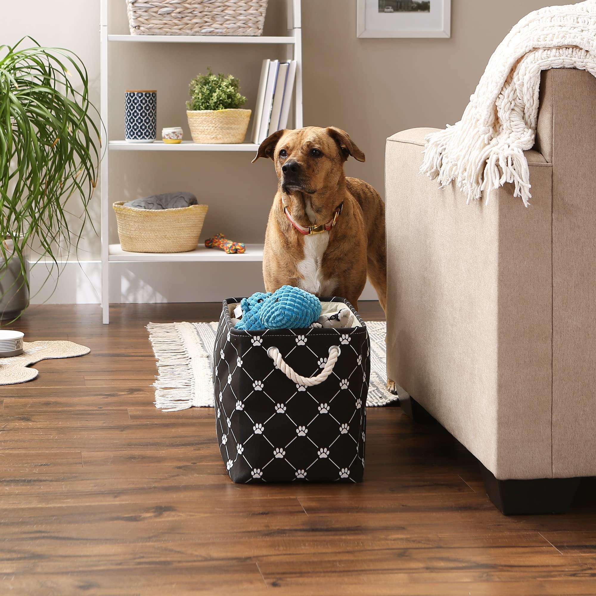 Bone Dry Pet Storage Paw and Bone, Trellis Collection, Medium Rectangle, 16x10x12, Black