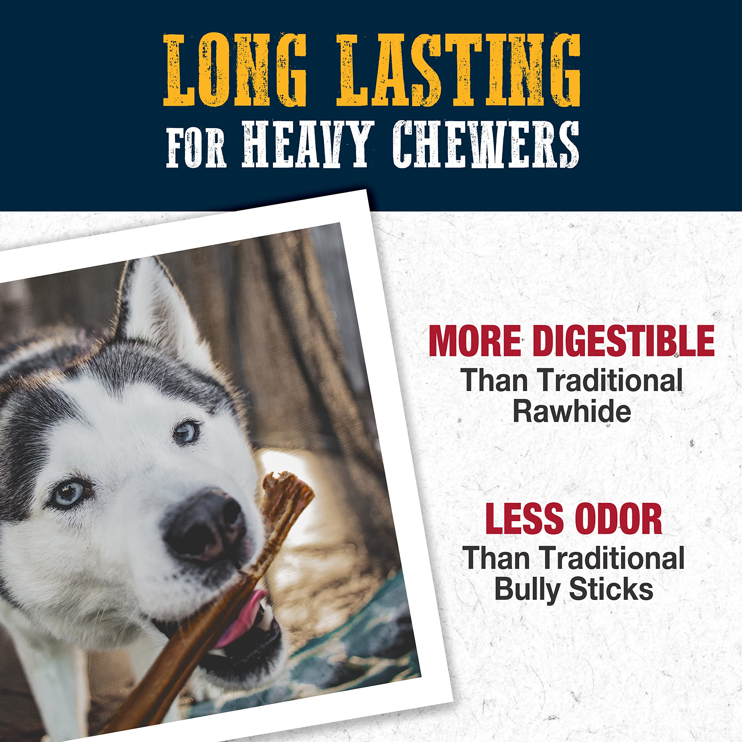 Cadet Bully Hide Sticks for Large Dogs - All-Natural Beef Pizzle, High Protein, Low Fat, Long-Lasting, Grain & Rawhide-Free Dog