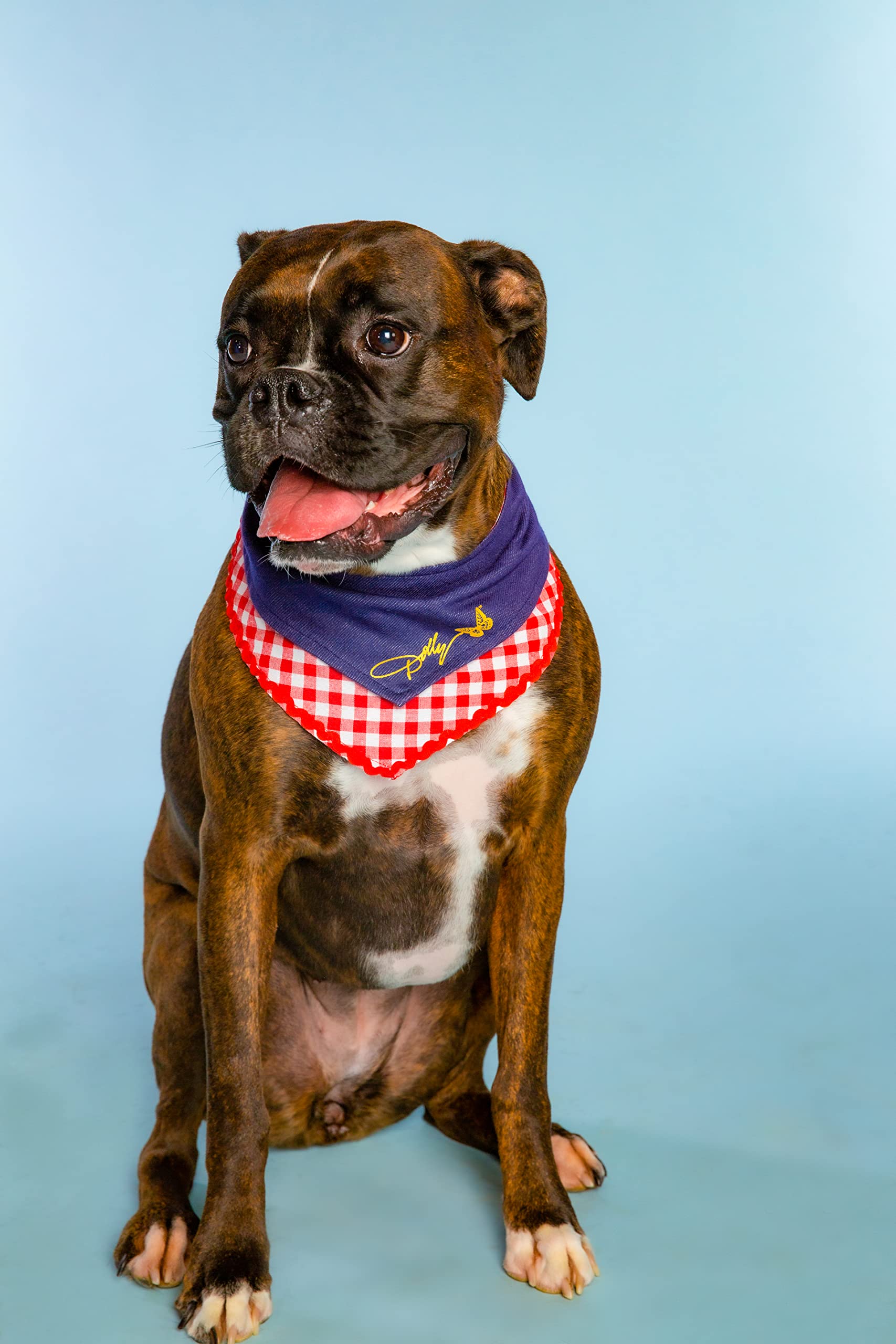 Doggy Parton Blue Denim & Gingham Print Bandana for Pets, Medium/Large - Stylish Pet Accessory