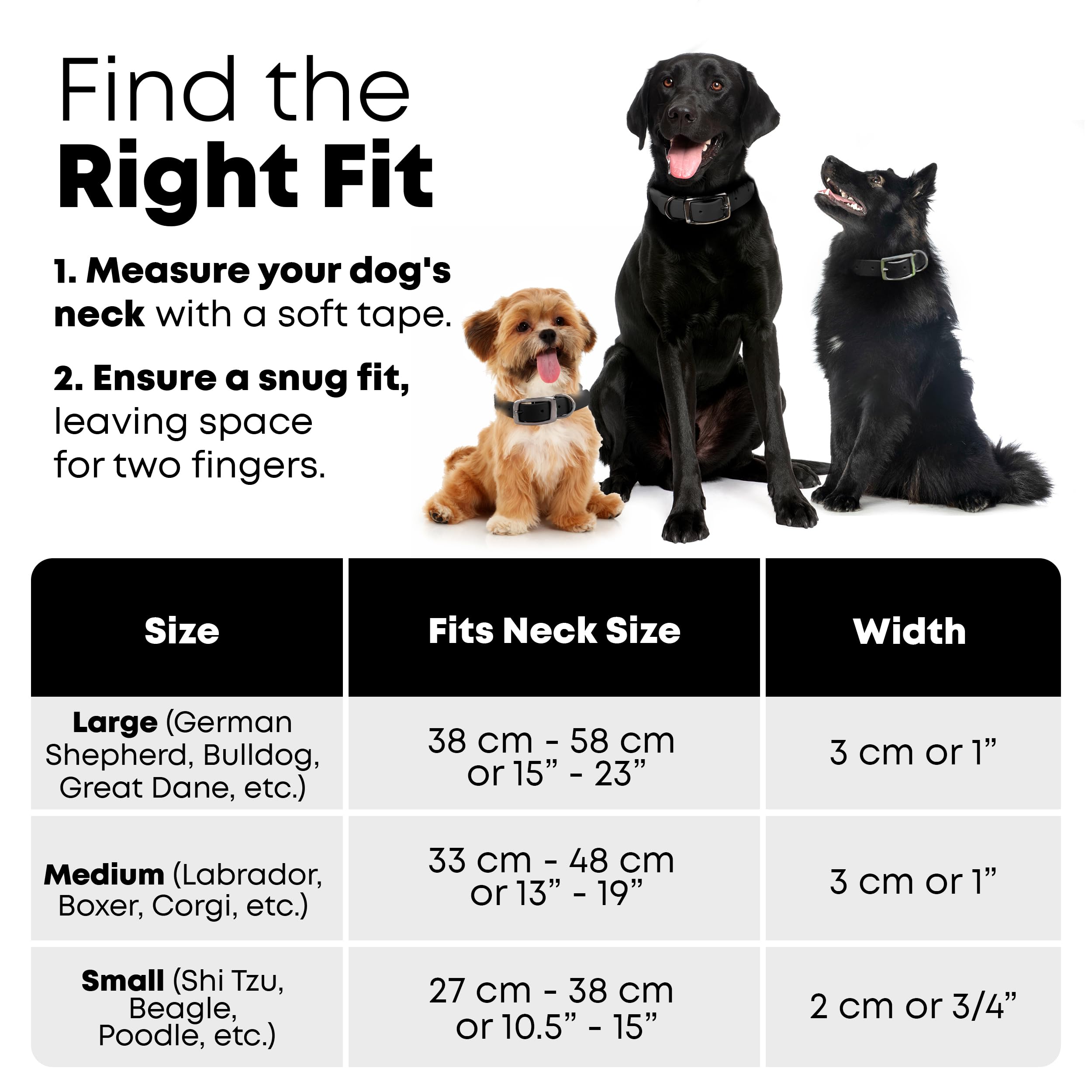 Regal Dog Products Medium Black Heavy Duty Reflective Dog Collar With Durable Metal Buckle And D Ring Adjustable, Chew Proof & Waterproof Center Ring | Strong Small Dog Collar