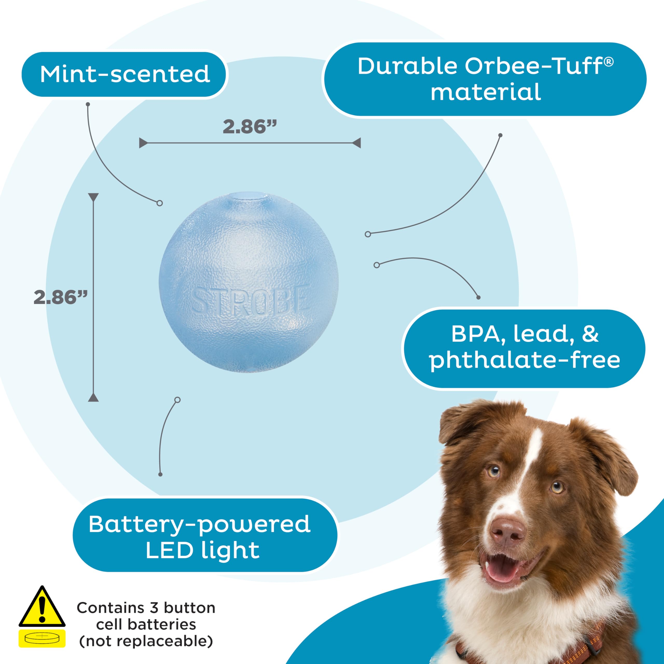 Outward Hound By Planet Dog Strobe Light Up Led Ball Dog Toy, Blue