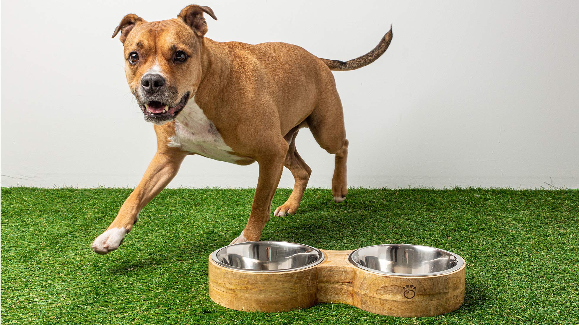 Luxury Elevated Dog Bowl Set - Mango Wood Stand with 2 Stainless Steel Food & Water Bowls - Raised Pet Feeder with Non-Slip Base