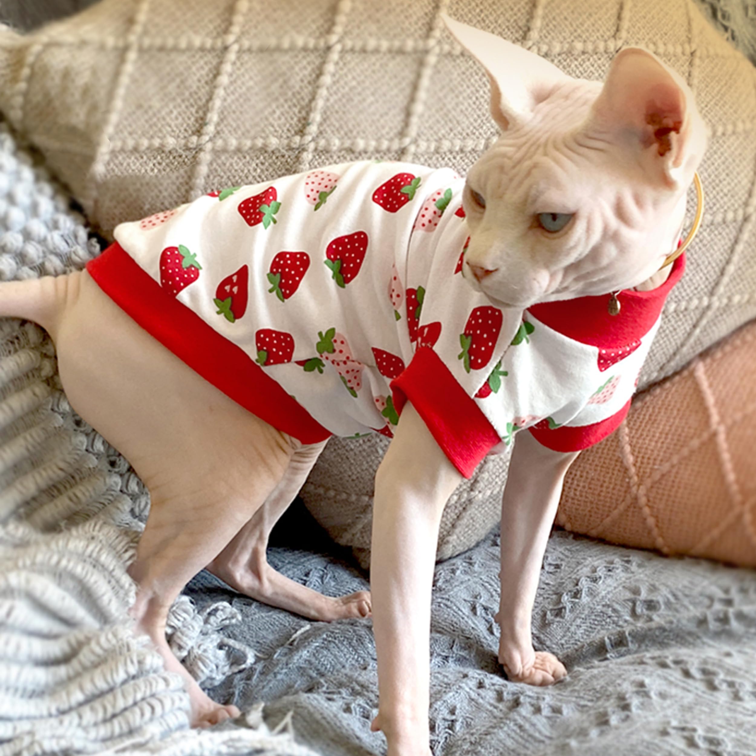 Pumyporeity Sphynx Cat Clothes: Stretchy Sweater, Soft Hairless Shirt, Pullover Pajamas, Turtleneck For Cornish Rex, Devon Rex -