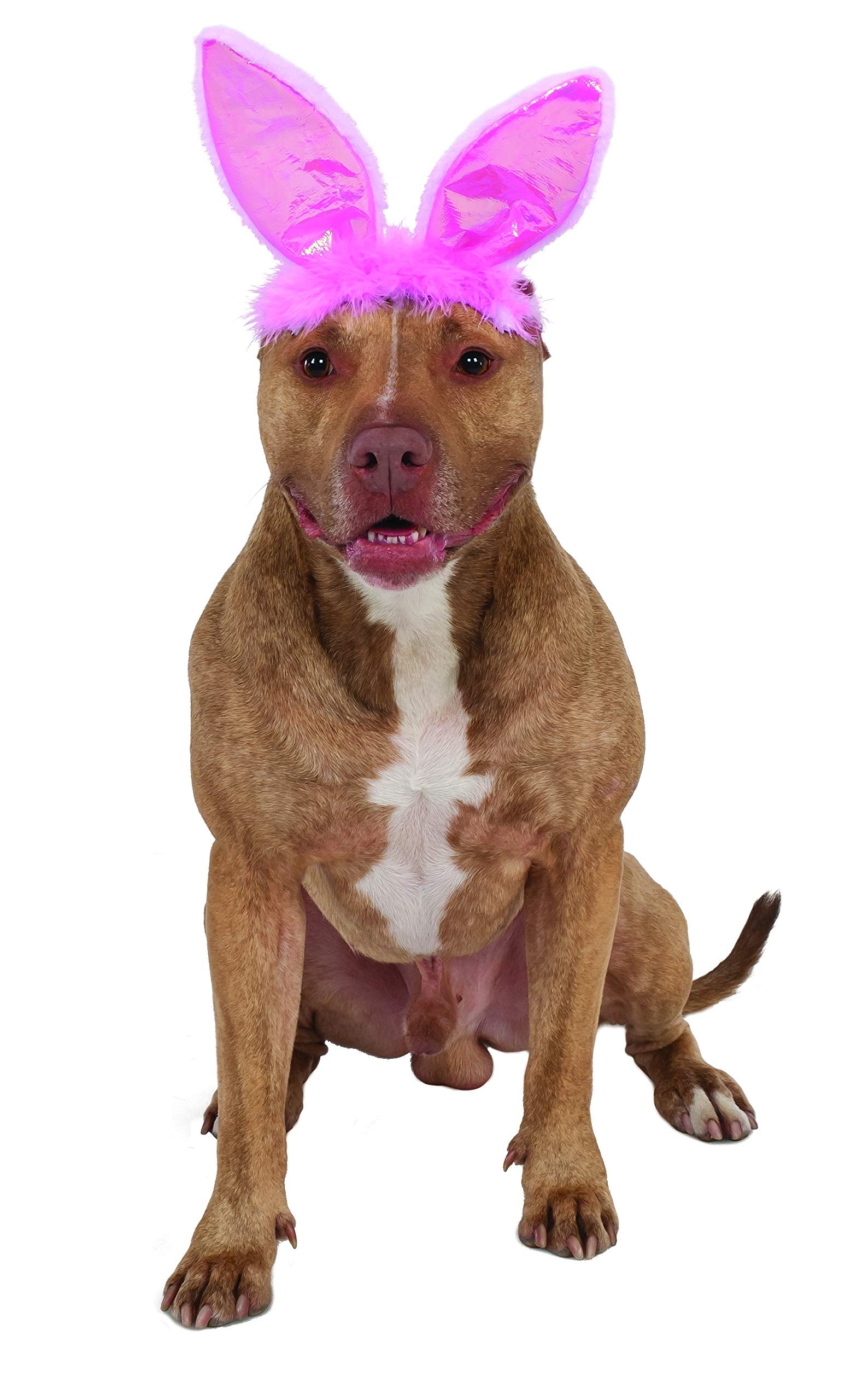Rubie's Crinkle Pink Bunny Ears Pet Headband, Medium/Large