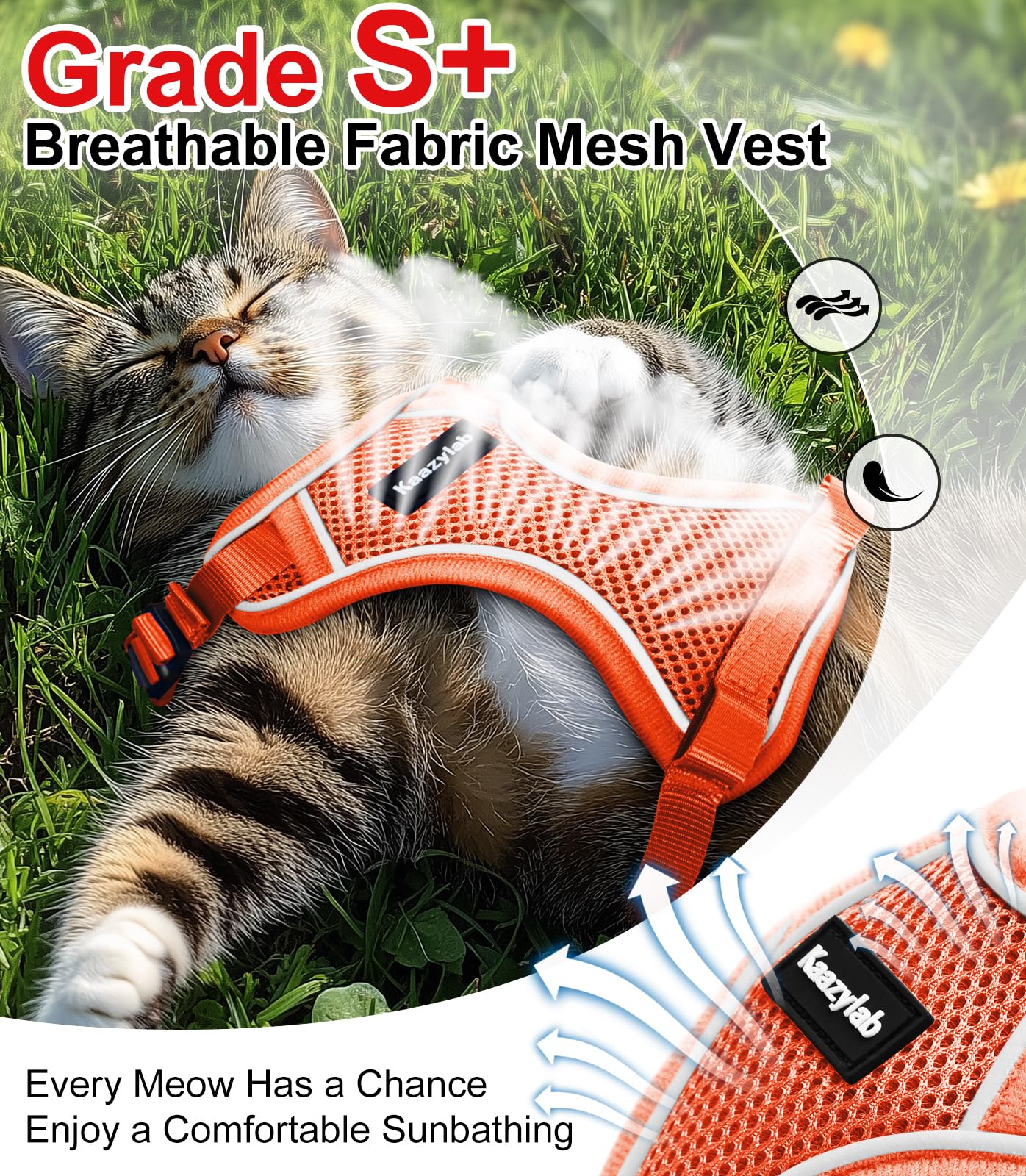 Cat Harness And Leash For Walking Escape Proof Soft Adjustable Cat Leash Breathable Comfortable Vest Easy To Wear Kitten Harness