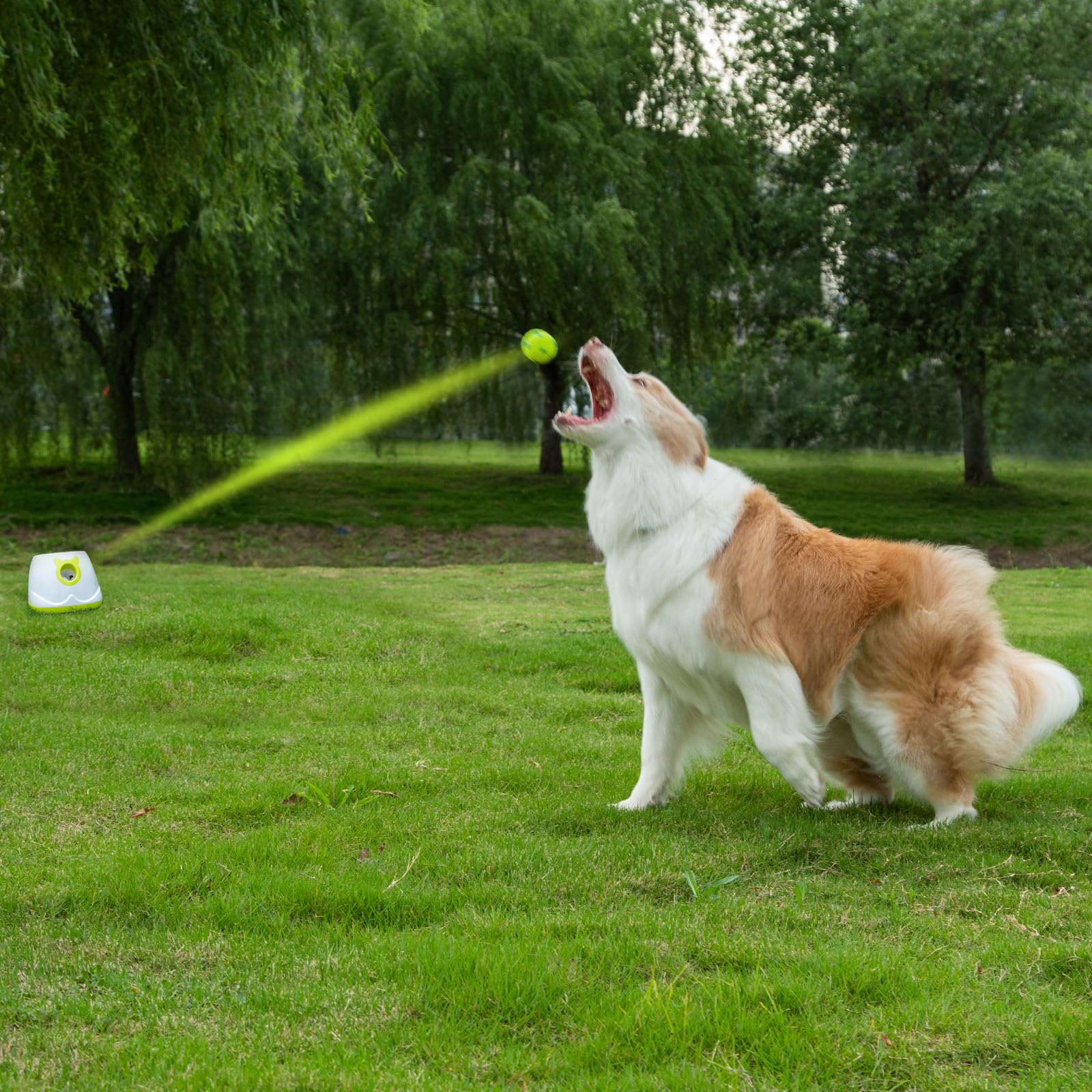 Palulu Automatic Ball Launcher For Dog, Including 9 Small Sized 2-Inch Balls, Adjustable Launch Distance, Suitable For Small To
