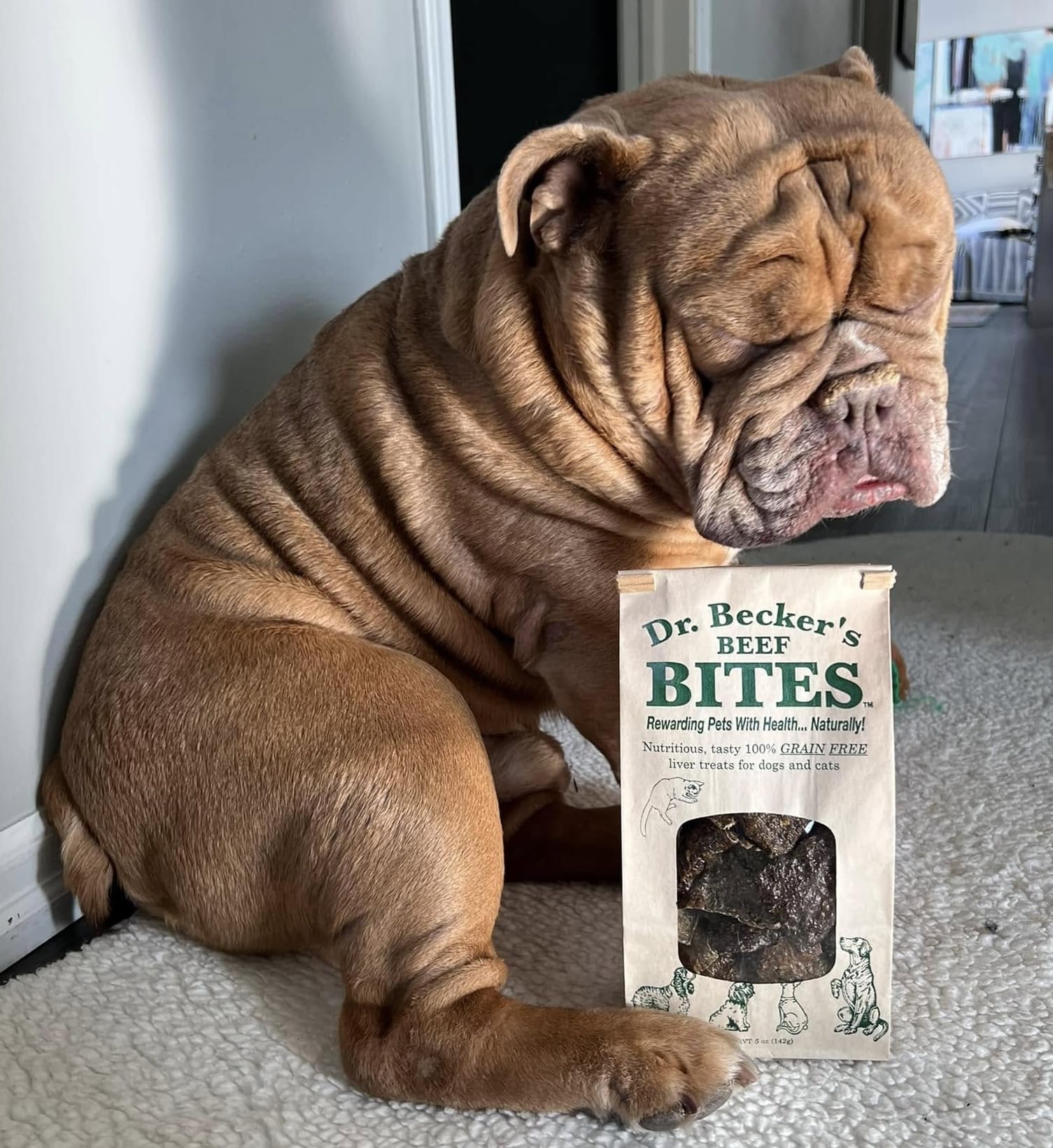 Dr. Beckers Bites Grain Free Treats For Dogs & Cats, 3 Packs